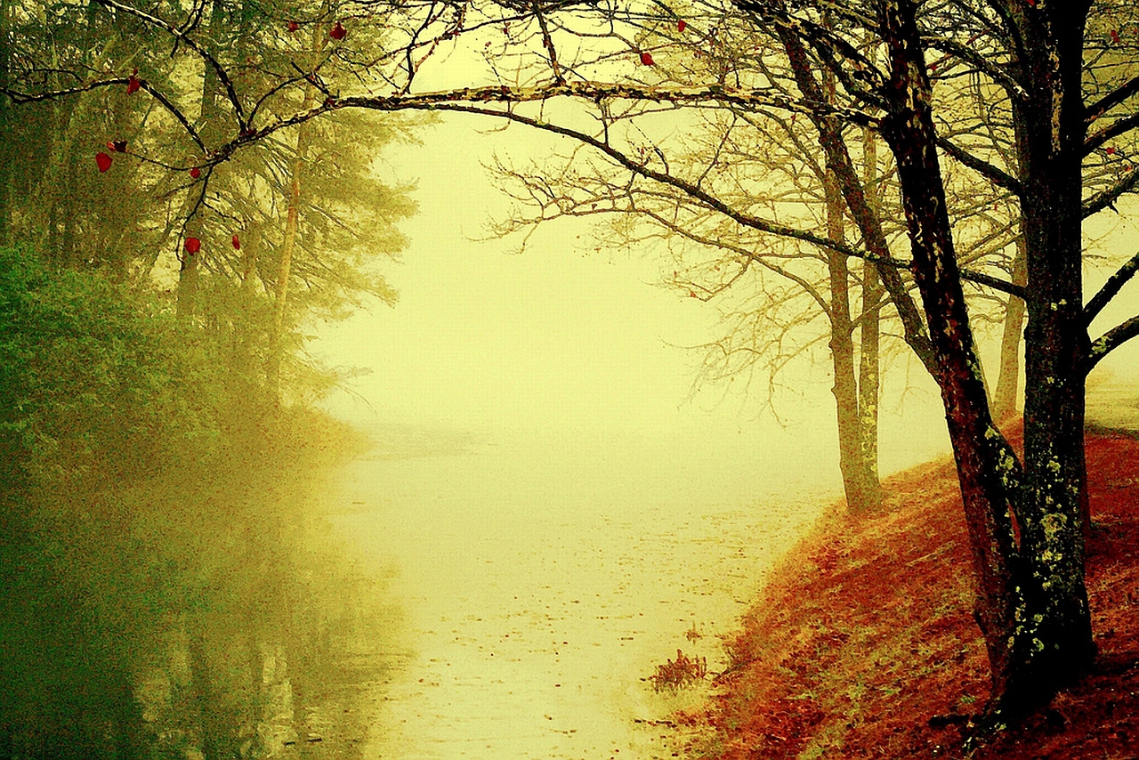 Baixe gratuitamente a imagem Terra/natureza, Neblina na área de trabalho do seu PC