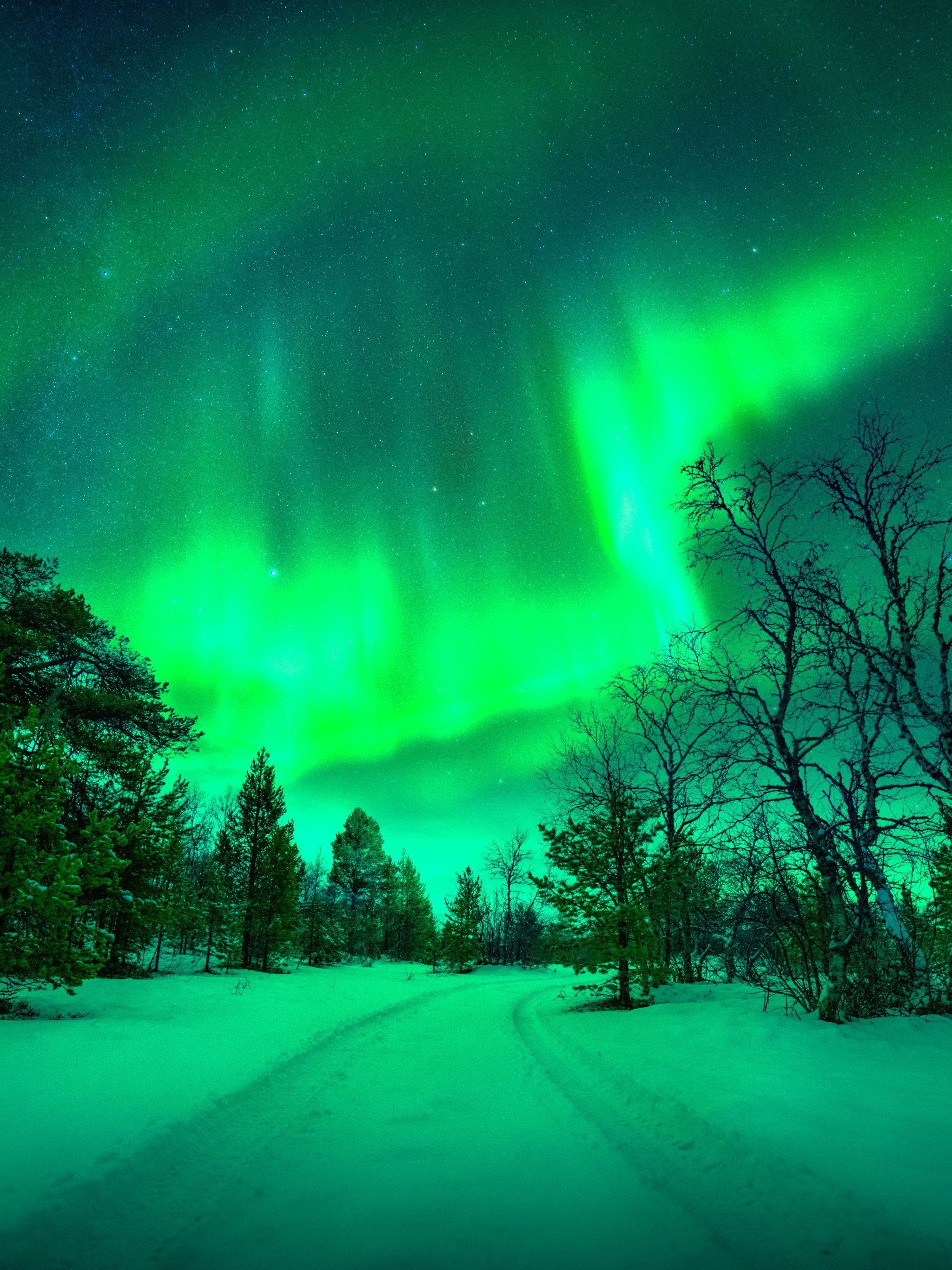 Скачать картинку Зима, Природа, Небо, Ночь, Снег, Северное Сияние, Земля/природа в телефон бесплатно.