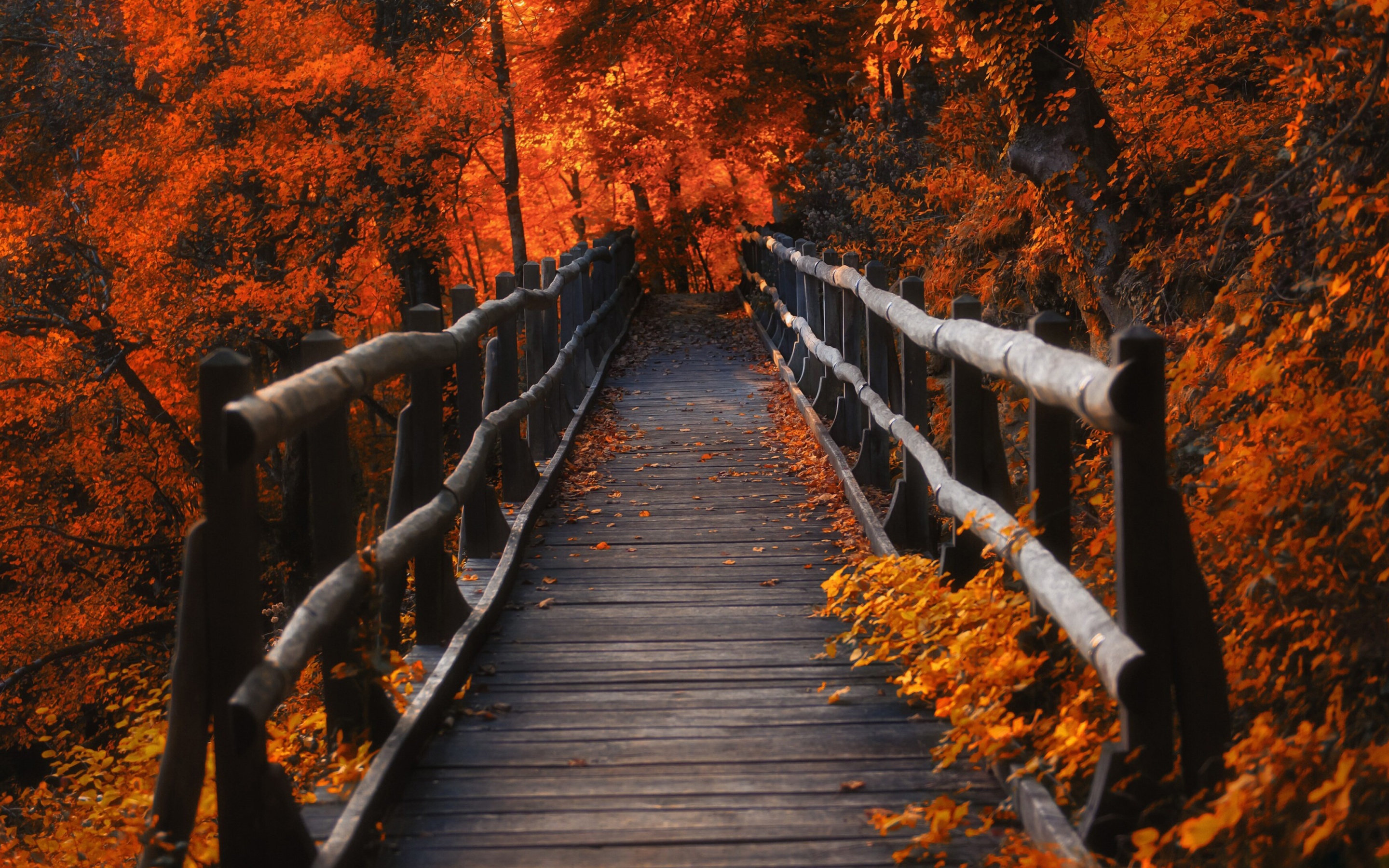 Handy-Wallpaper Herbst, Brücke, Brücken, Menschengemacht kostenlos herunterladen.