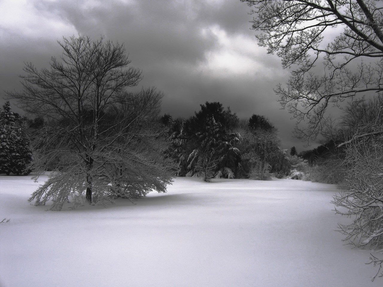 Download mobile wallpaper Winter, Trees, Landscape for free.