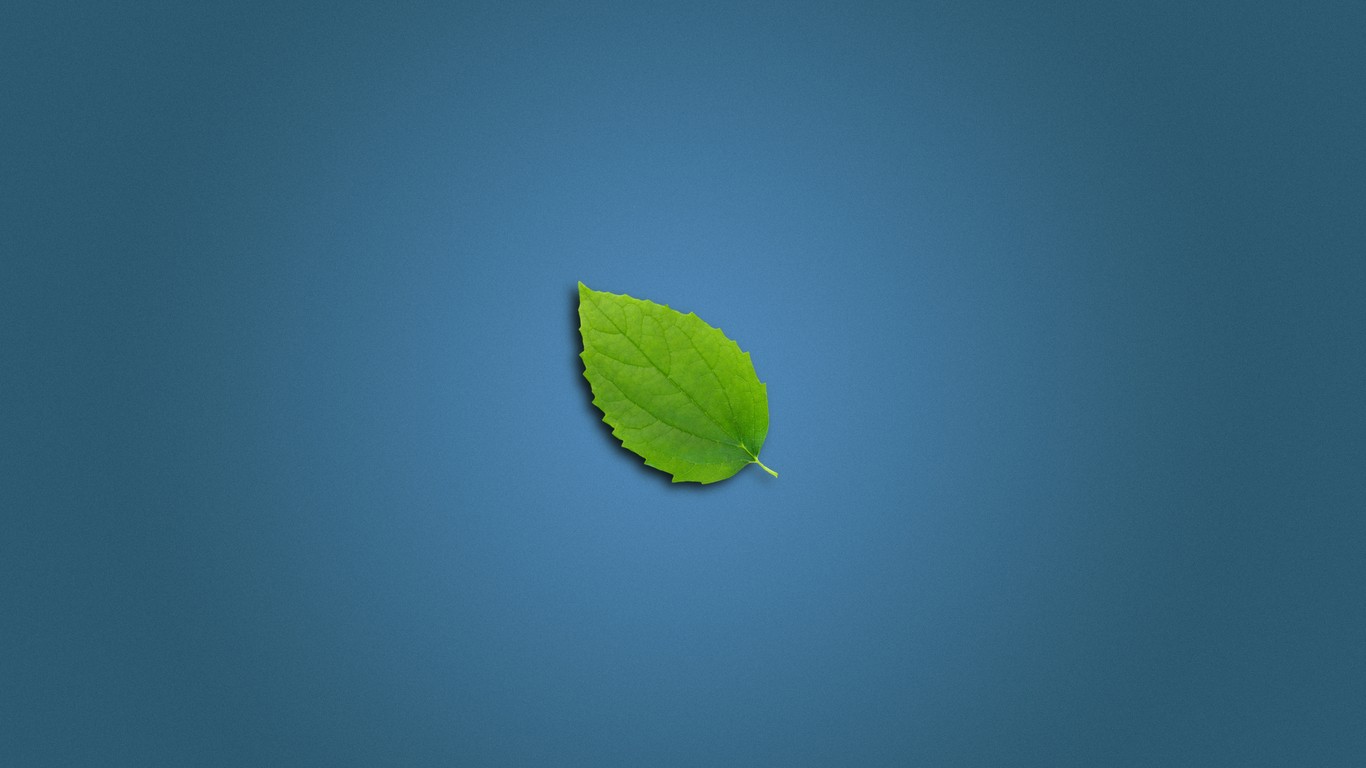 Free download wallpaper Leaf, Earth, Minimalist on your PC desktop