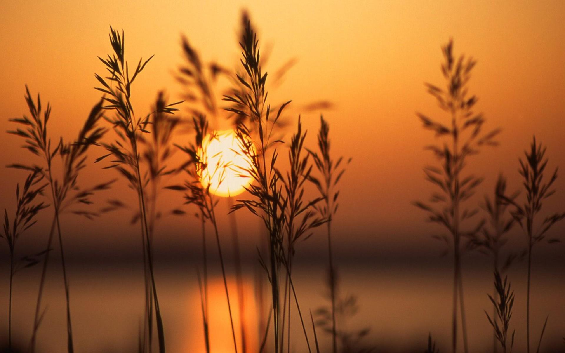 Téléchargez gratuitement l'image Coucher De Soleil, Terre/nature sur le bureau de votre PC