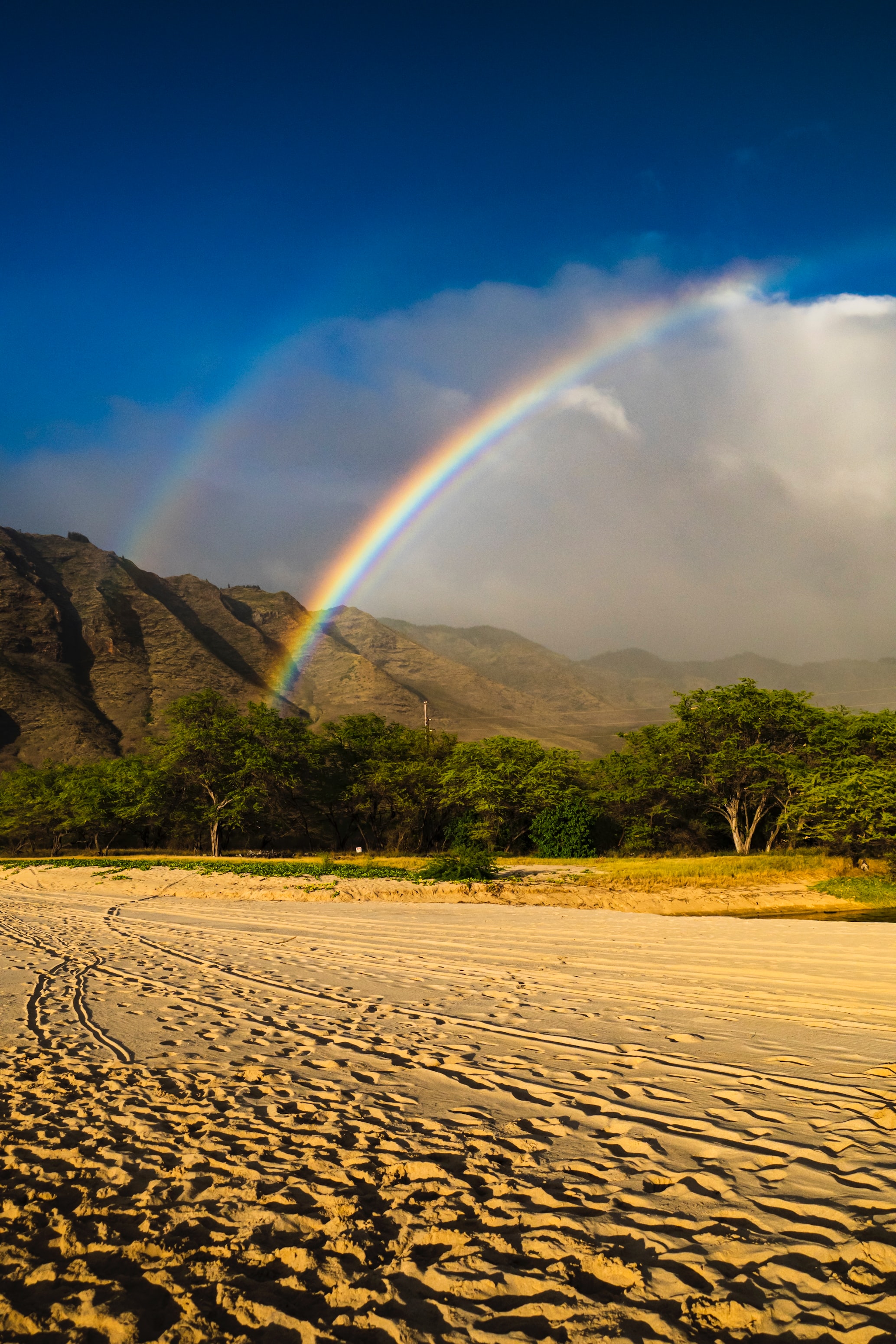 rainbow, sand, nature, trees, beach, mountain Phone Background