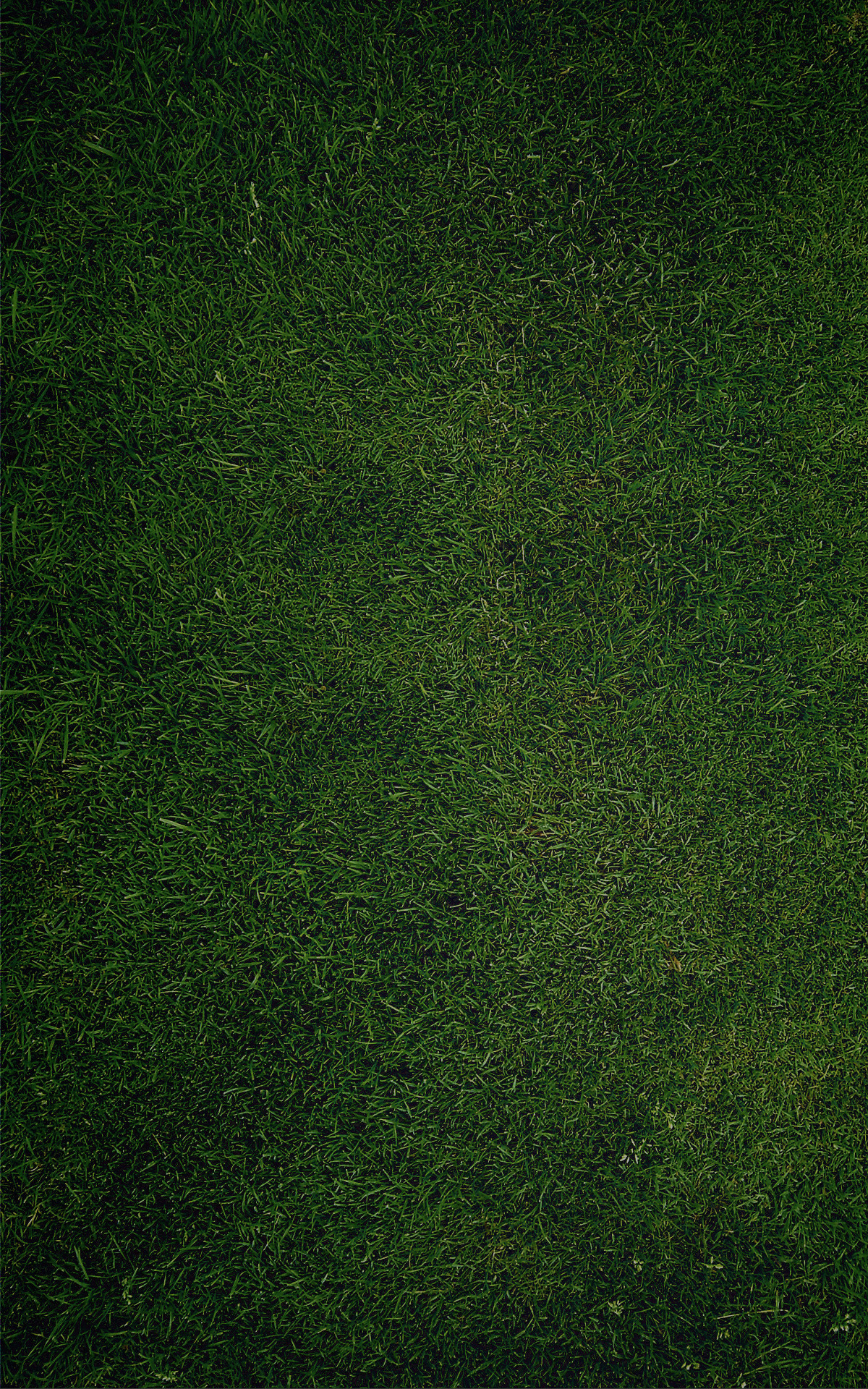 android background, green, grass