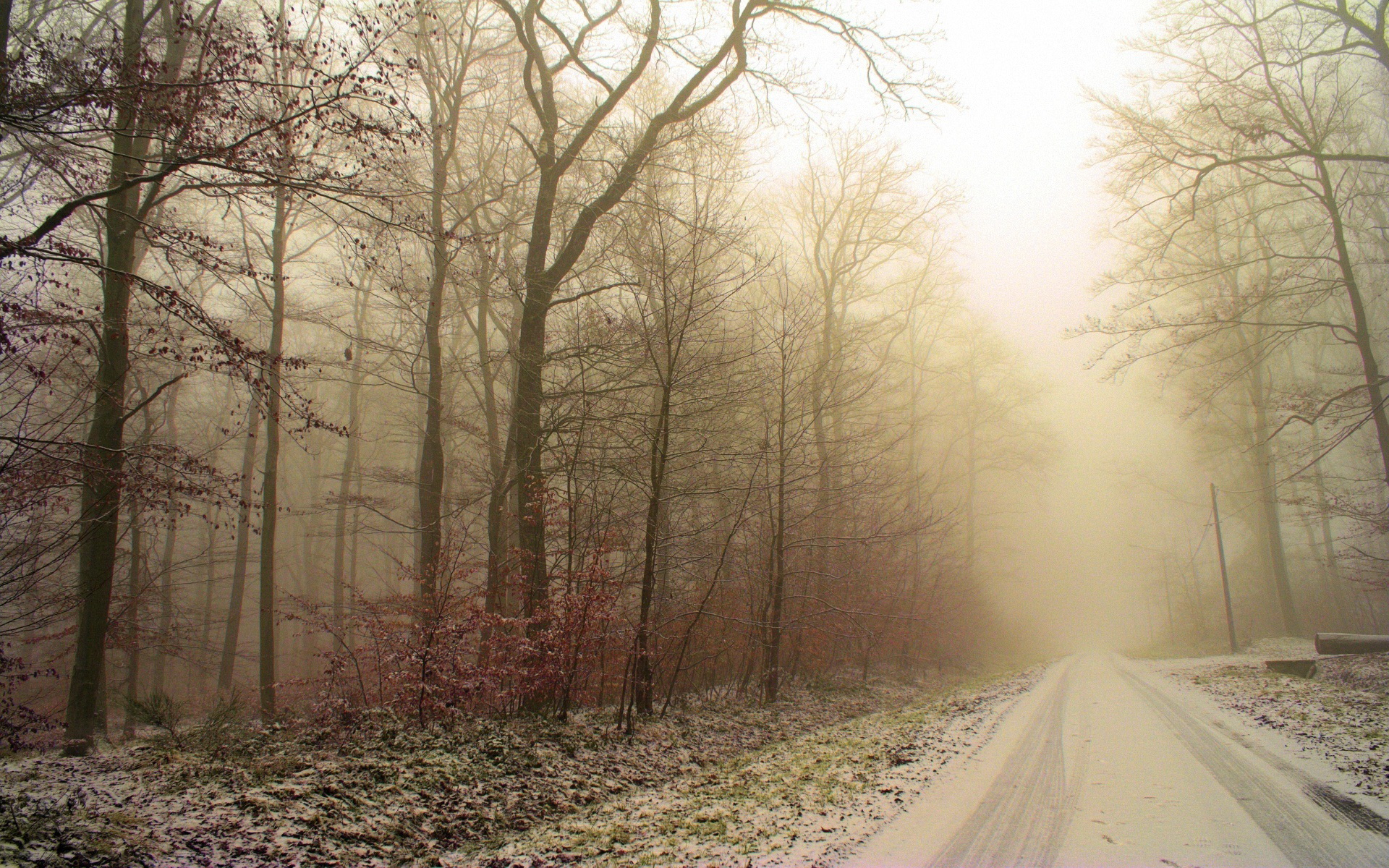 Téléchargez des papiers peints mobile Brouillard, Terre/nature gratuitement.