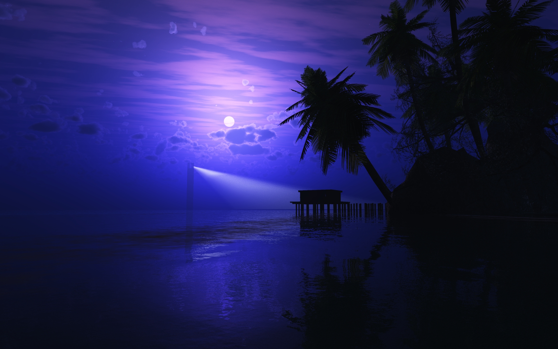 Download mobile wallpaper Night, Earth, Artistic, Tropical, Palm Tree for free.