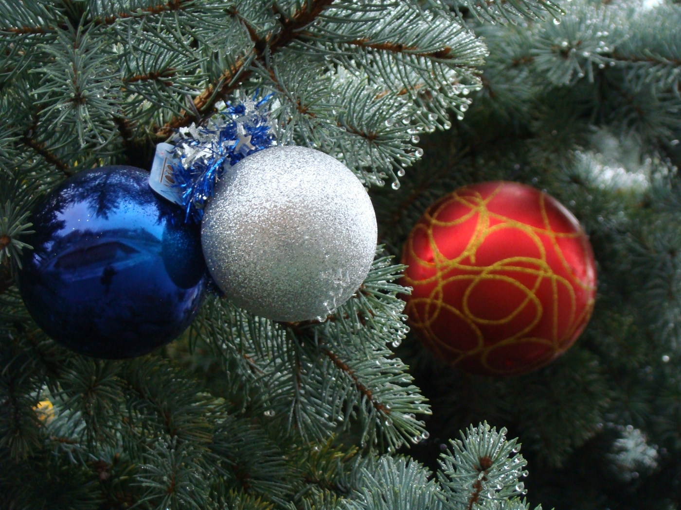 fir trees, christmas xmas, holidays, new year, toys HD wallpaper
