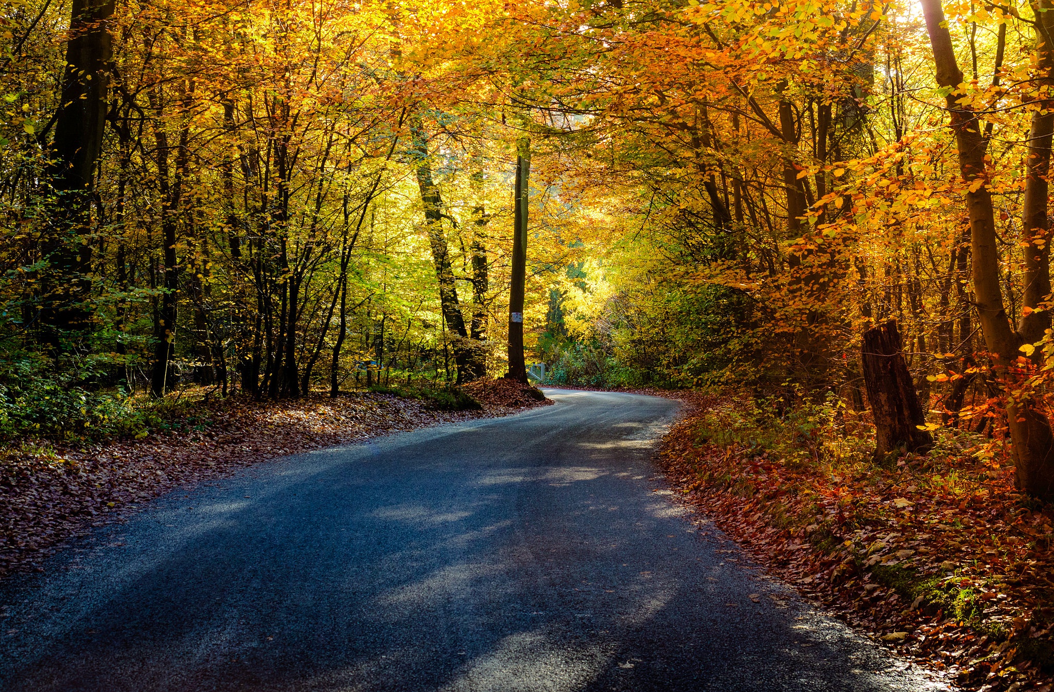 Free download wallpaper Nature, Road, Forest, Tree, Fall, Man Made on your PC desktop