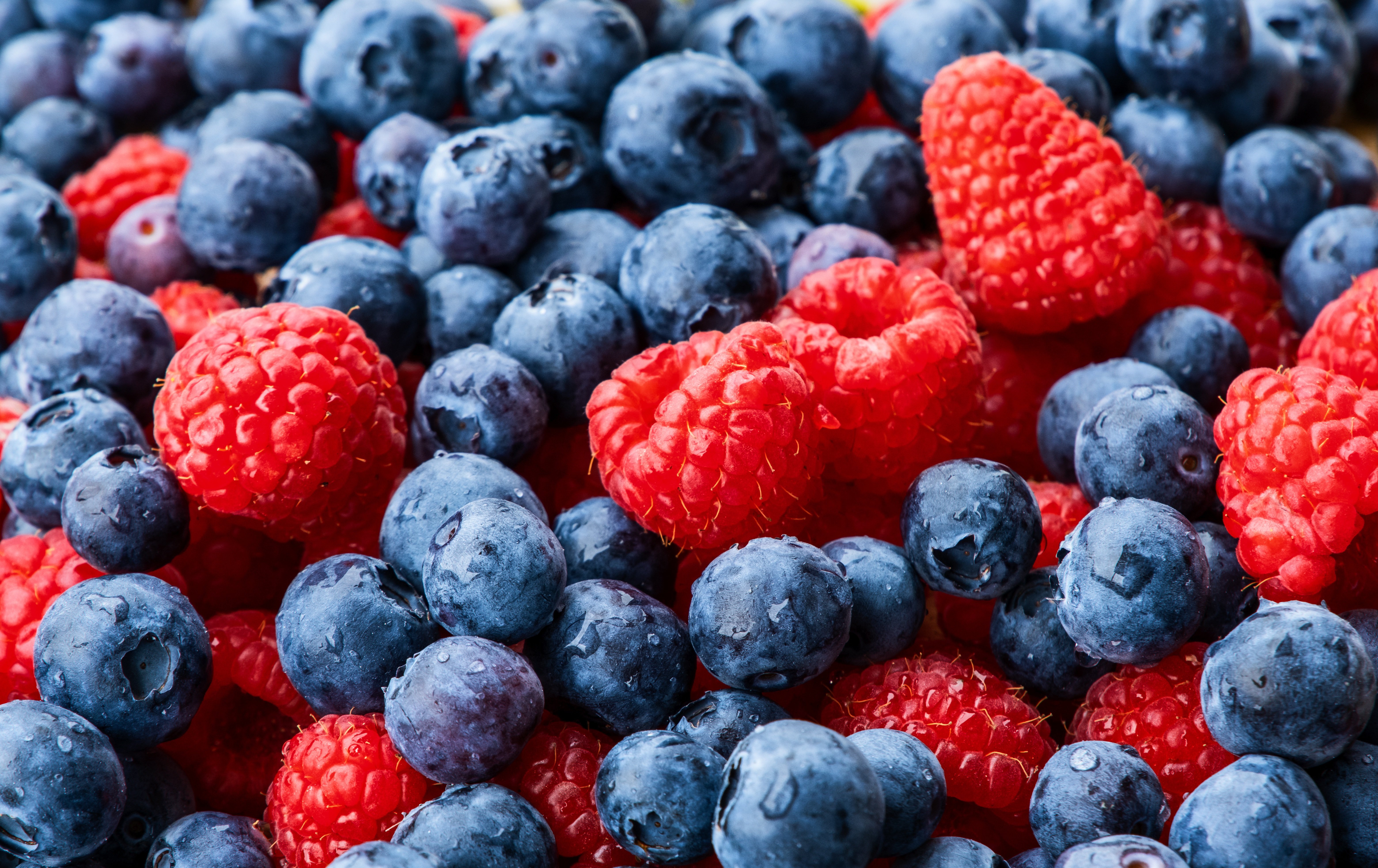 Free download wallpaper Food, Blueberry, Raspberry, Berry, Fruit on your PC desktop