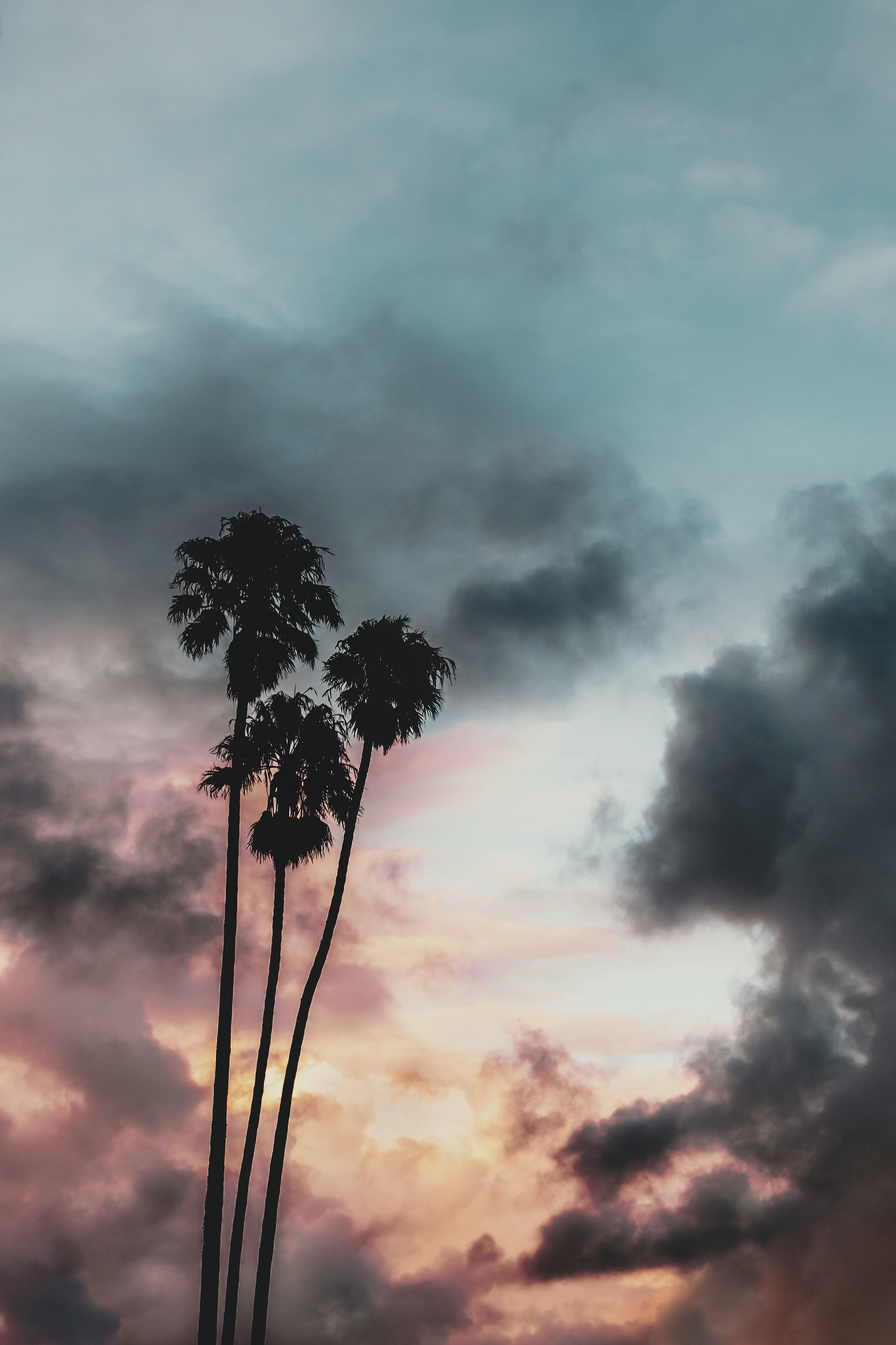 Free download wallpaper Nature, Sunset, Sky, Outlines, Clouds, Palms, Tropics on your PC desktop