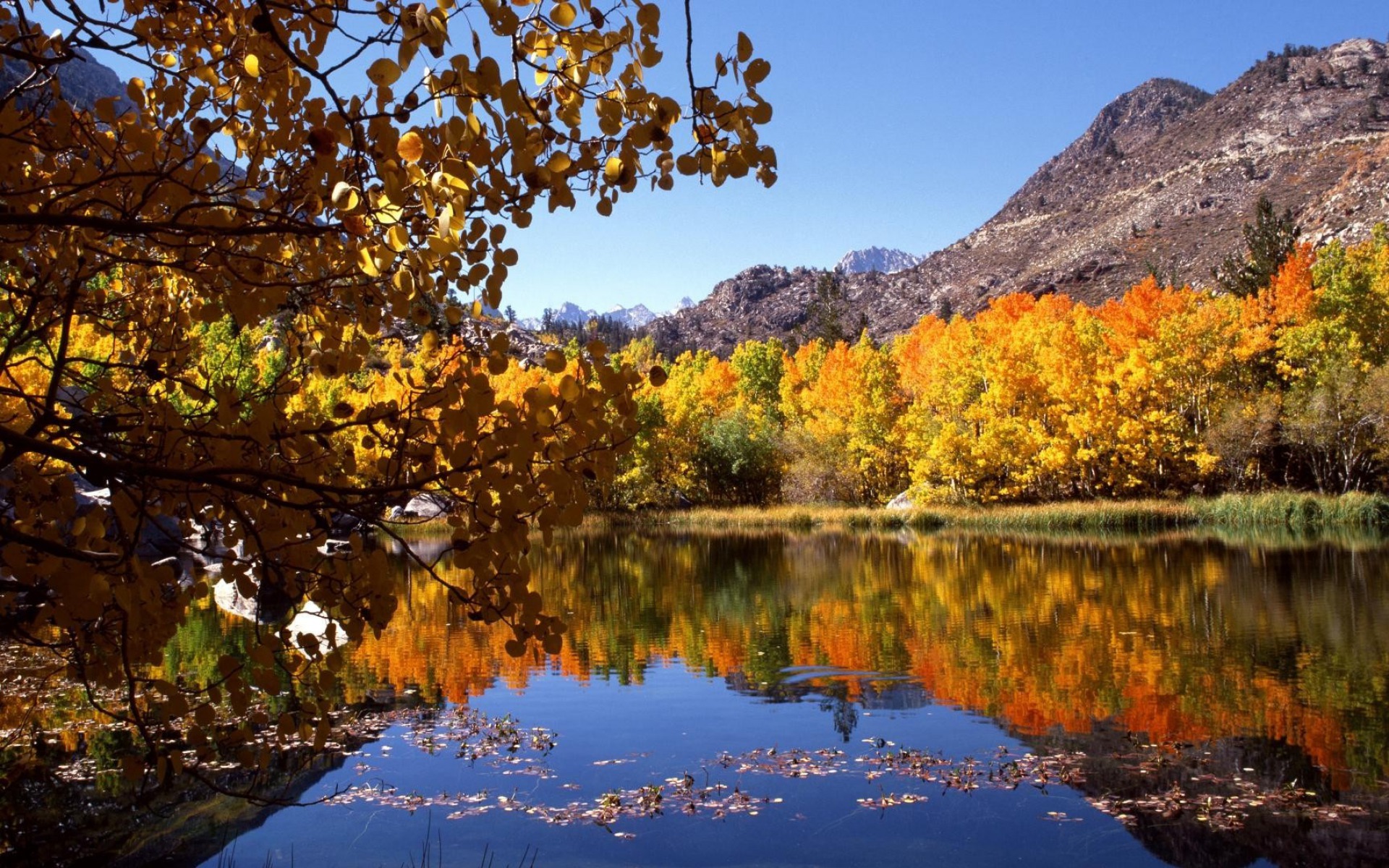 Laden Sie das Natur, Erde/natur, Spiegelung-Bild kostenlos auf Ihren PC-Desktop herunter