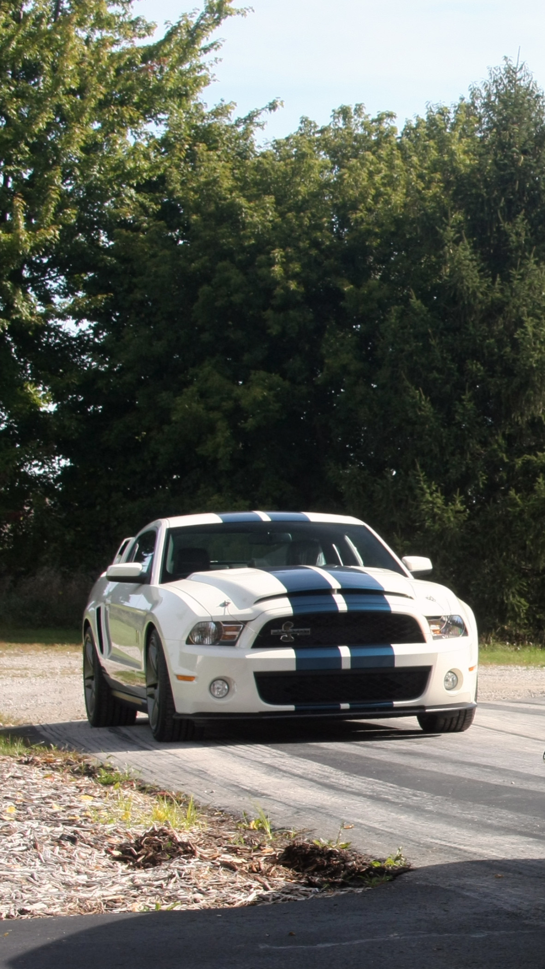shelby gt500, vehicles, ford