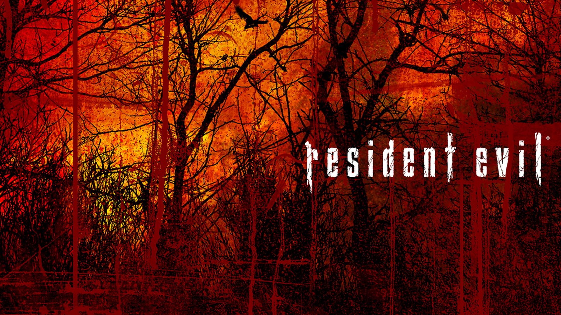 Free download wallpaper Resident Evil, Video Game on your PC desktop
