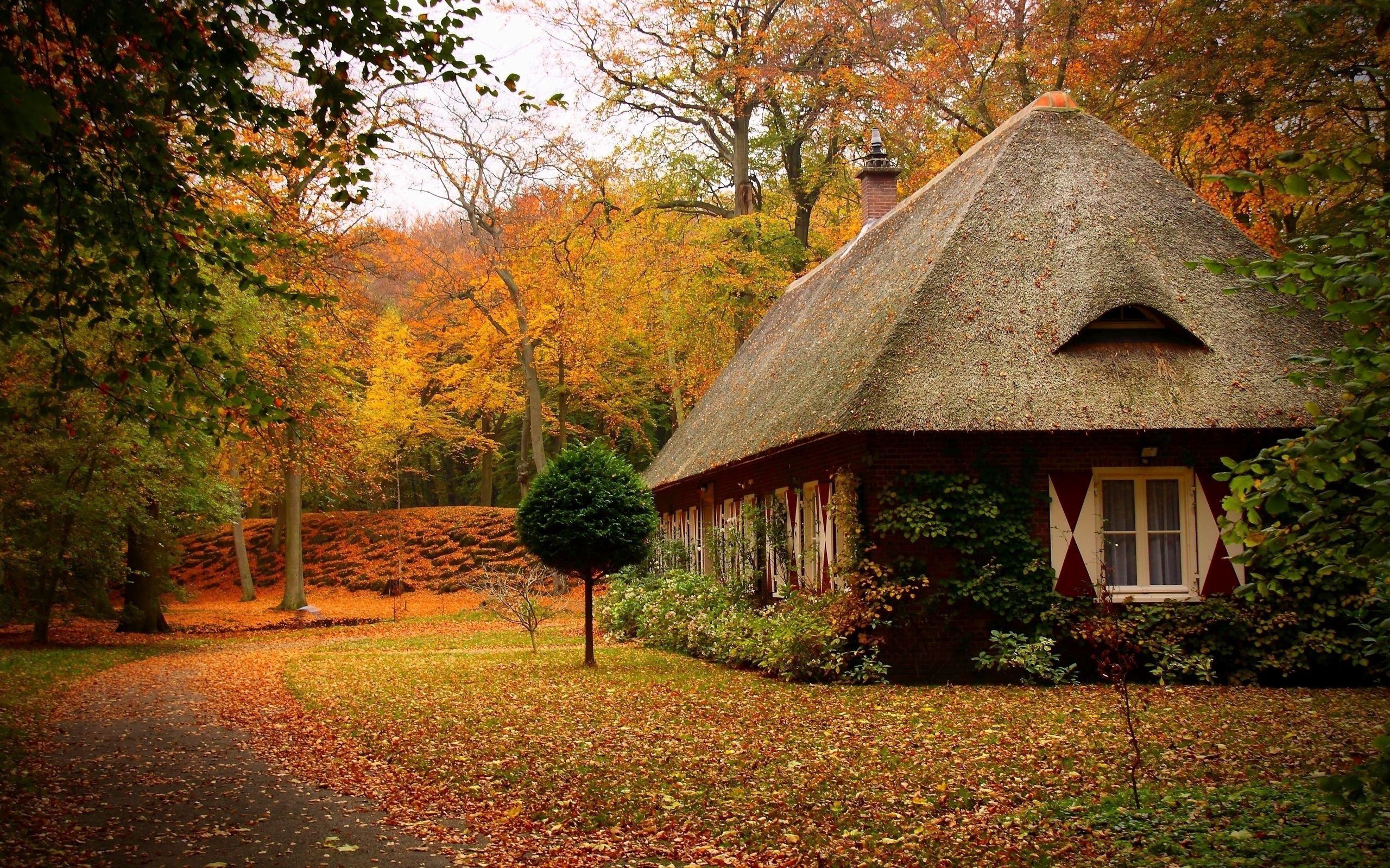landscape, nature, autumn, forest, small house, lodge, cabins