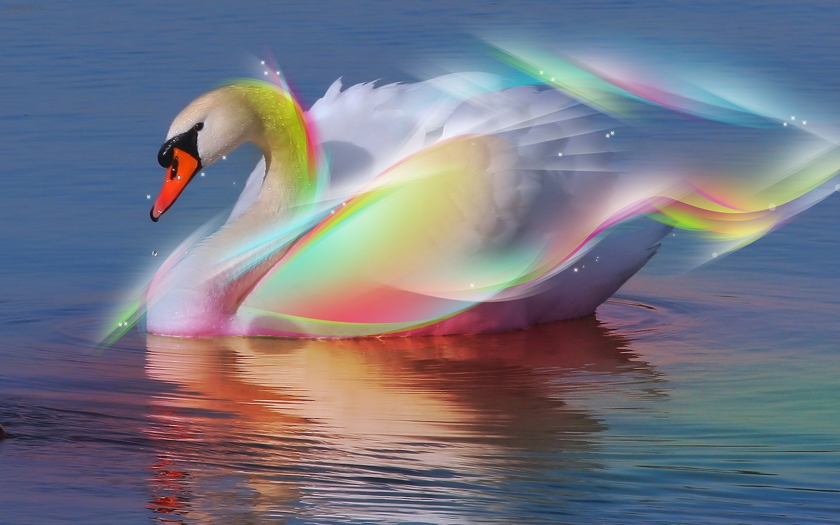 Laden Sie das Wasser, Swans, Tiere, Vögel-Bild kostenlos auf Ihren PC-Desktop herunter