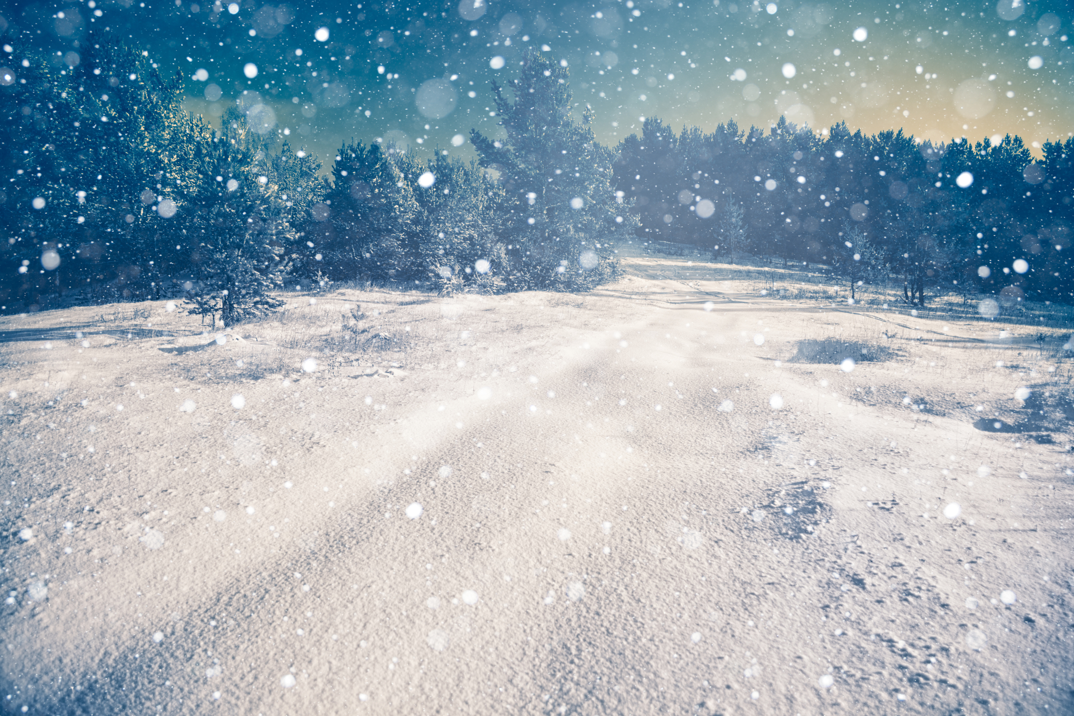 Free download wallpaper Winter, Earth on your PC desktop