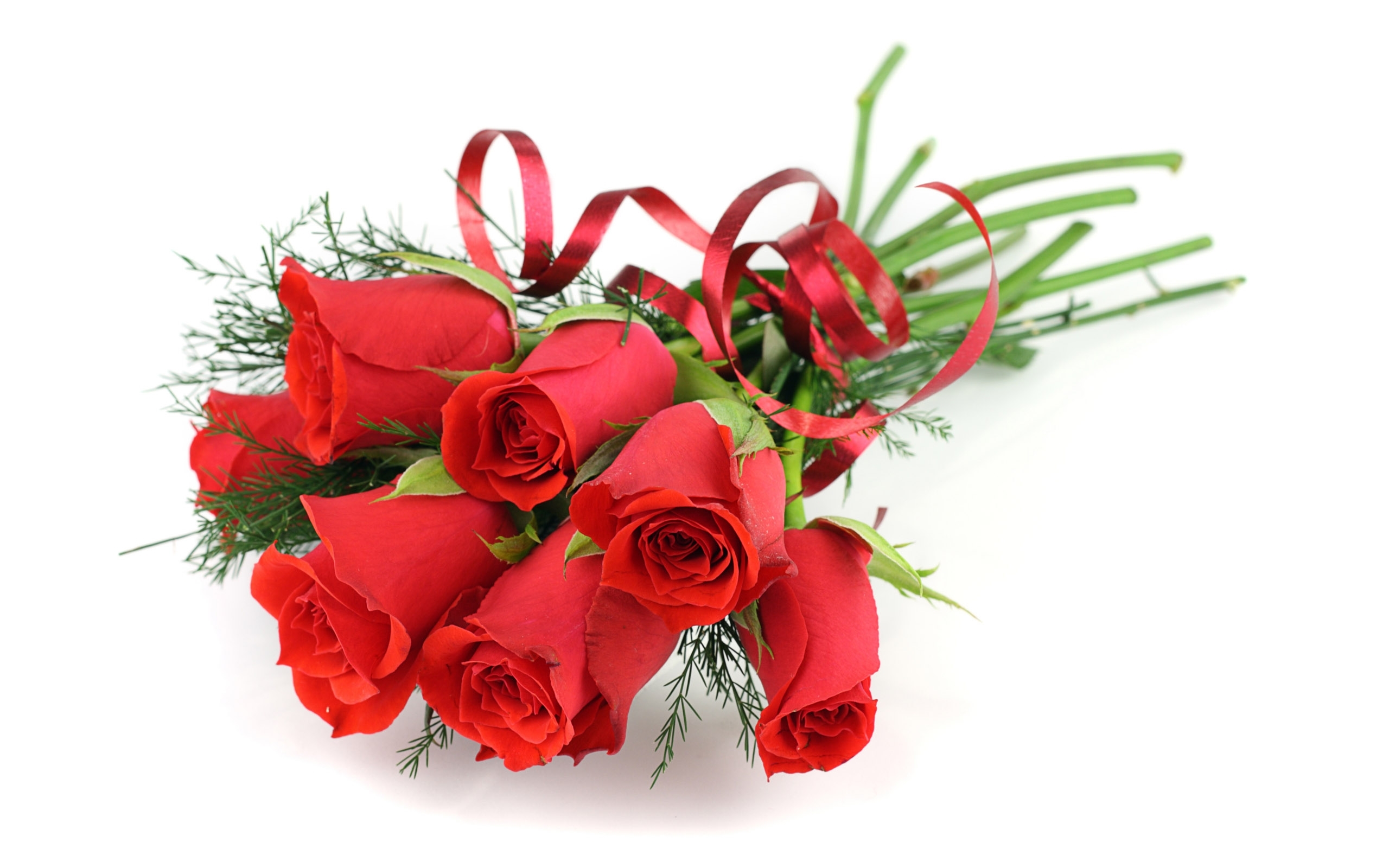 Téléchargez des papiers peints mobile Plantes, Roses, Fleurs, Bouquets gratuitement.