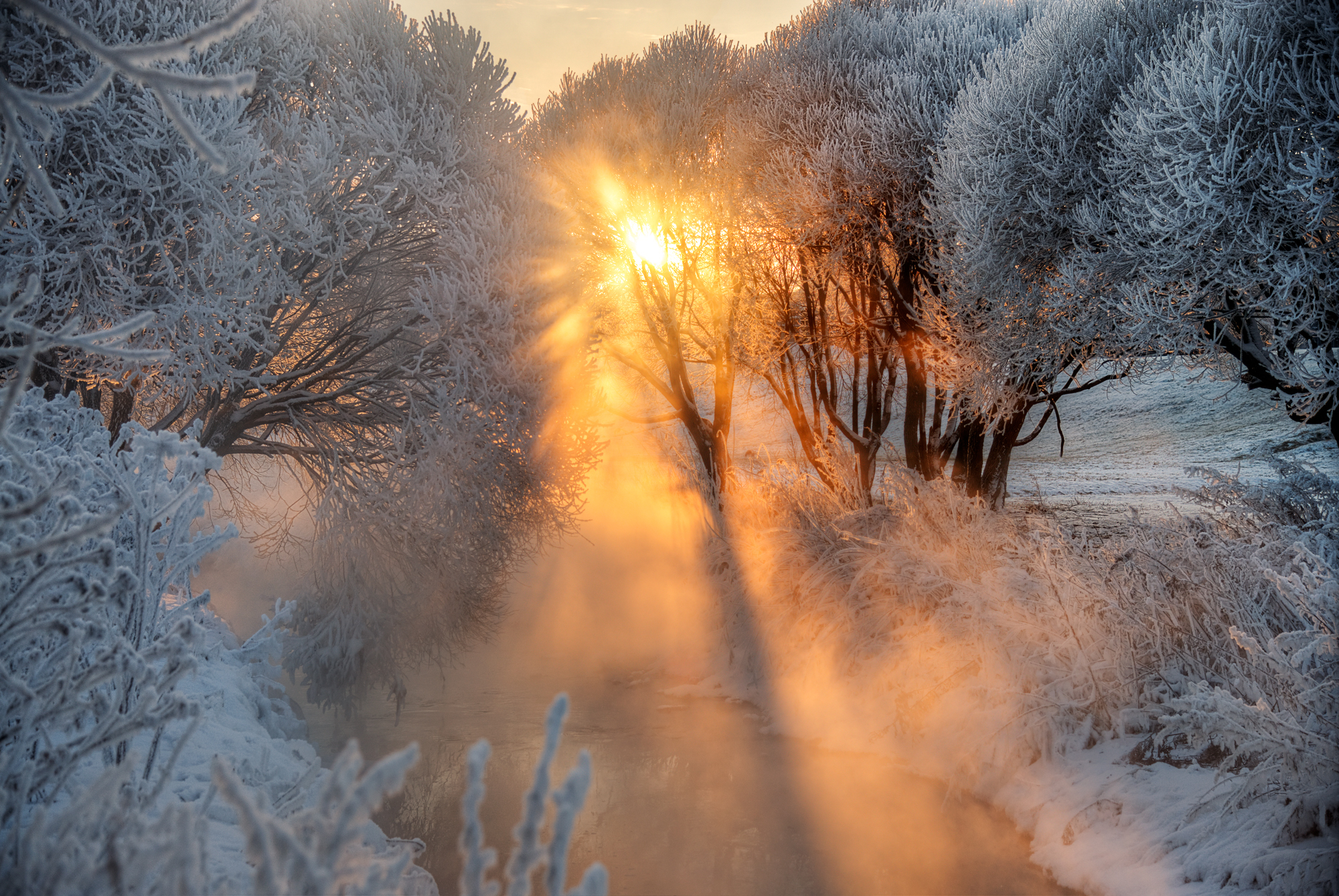 Descarga gratuita de fondo de pantalla para móvil de Invierno, Naturaleza, Nieve, Árbol, Rayo De Sol, Tierra/naturaleza, Frozen: El Reino Del Hielo.