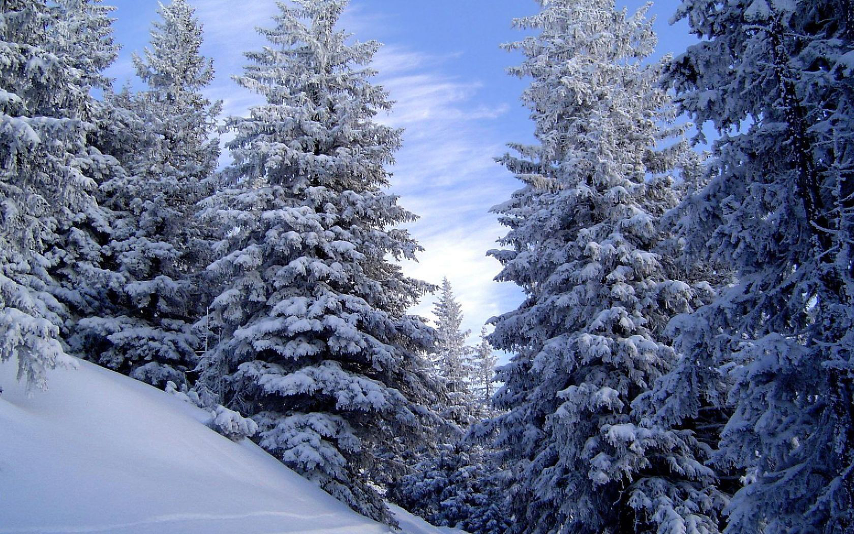 Téléchargez gratuitement l'image Hiver, Terre/nature sur le bureau de votre PC