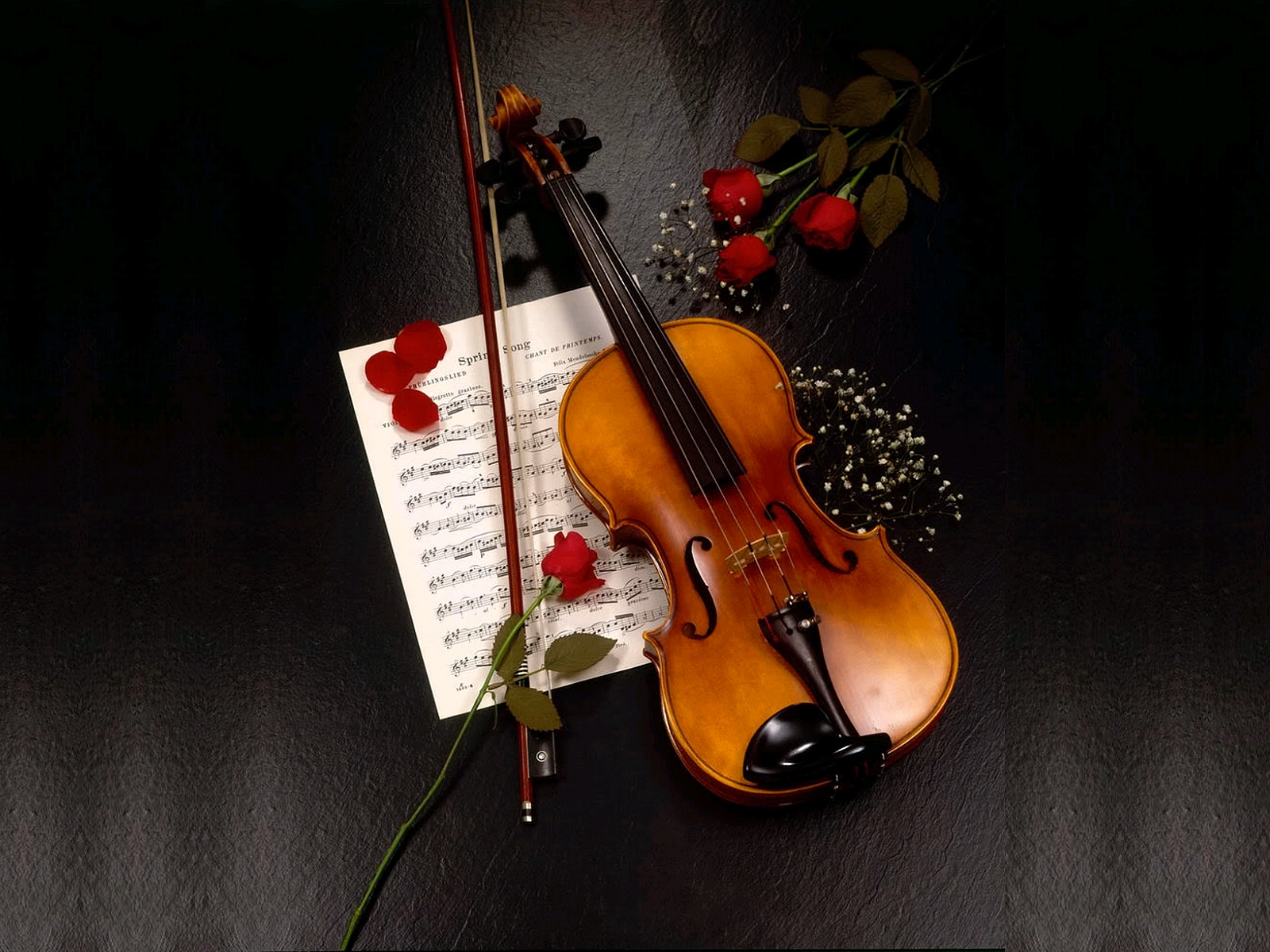 violin, music