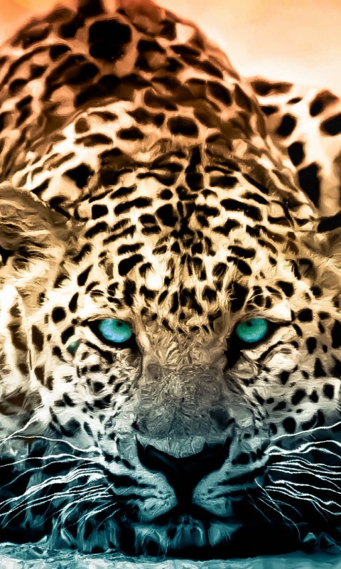 Handy-Wallpaper Tiere, Katzen, Leopard kostenlos herunterladen.