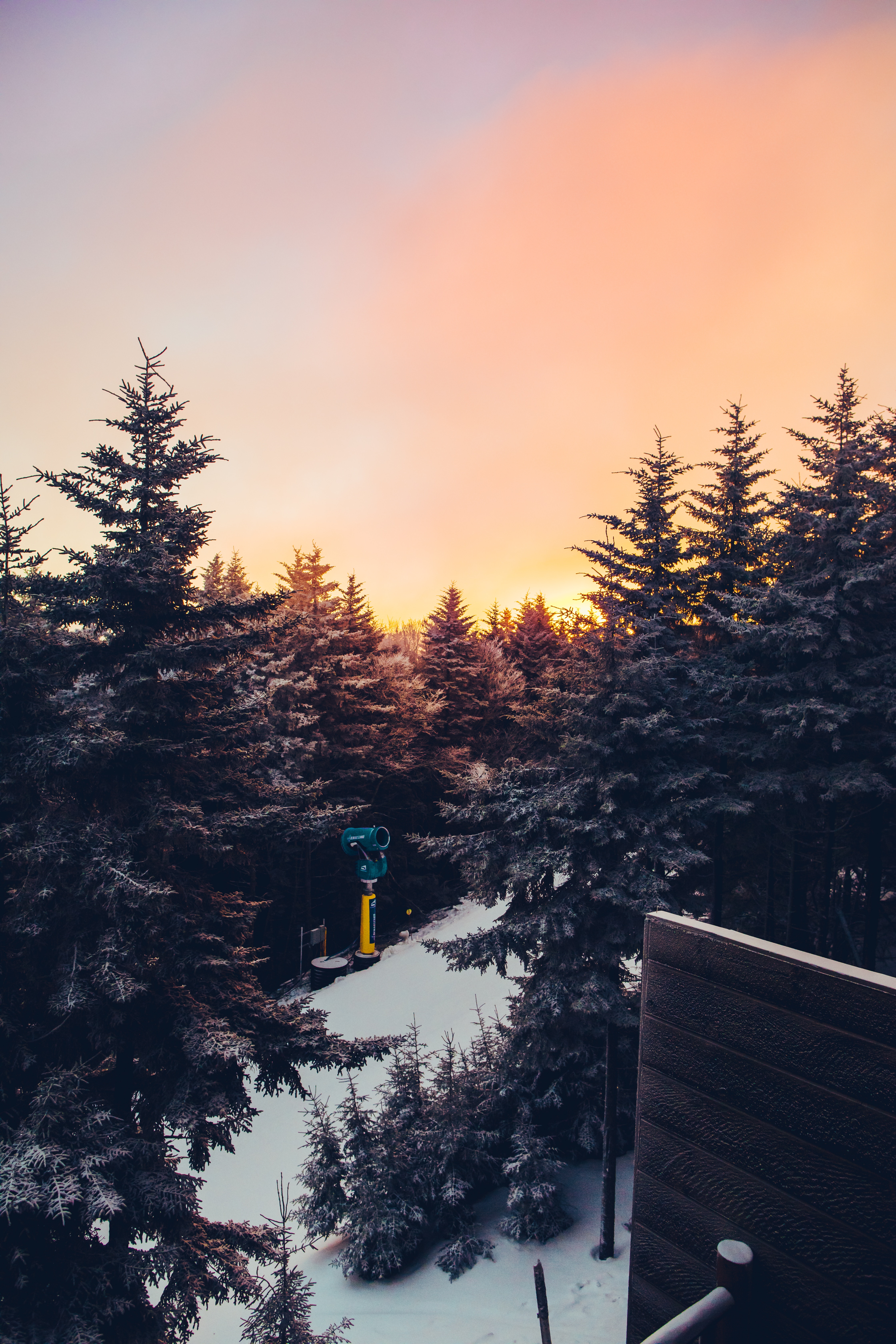 無料モバイル壁紙自然, 木, 見る, 日没, 眺める, 冬, 風景をダウンロードします。