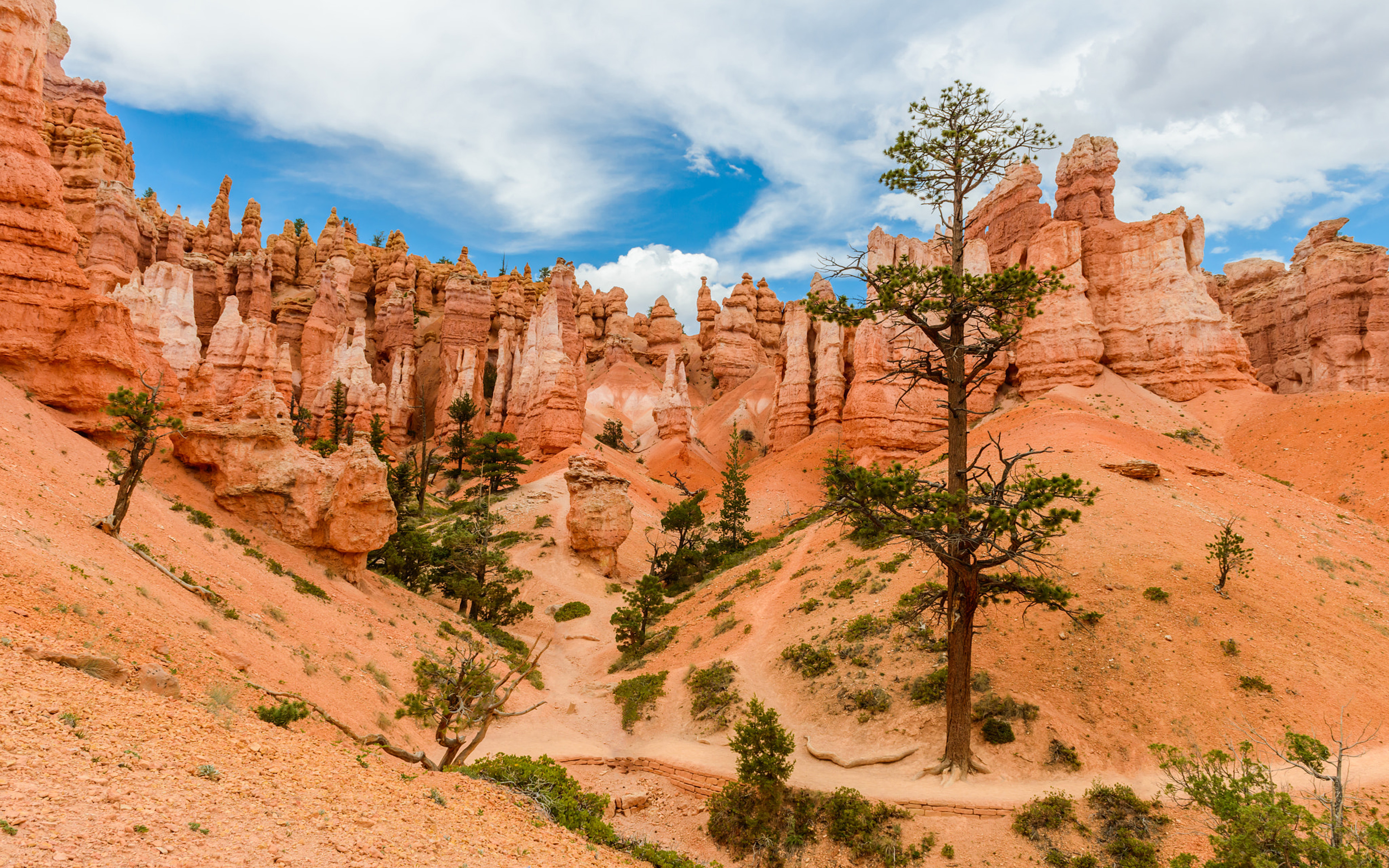 Download mobile wallpaper Desert, Earth, National Park, Bryce Canyon National Park for free.