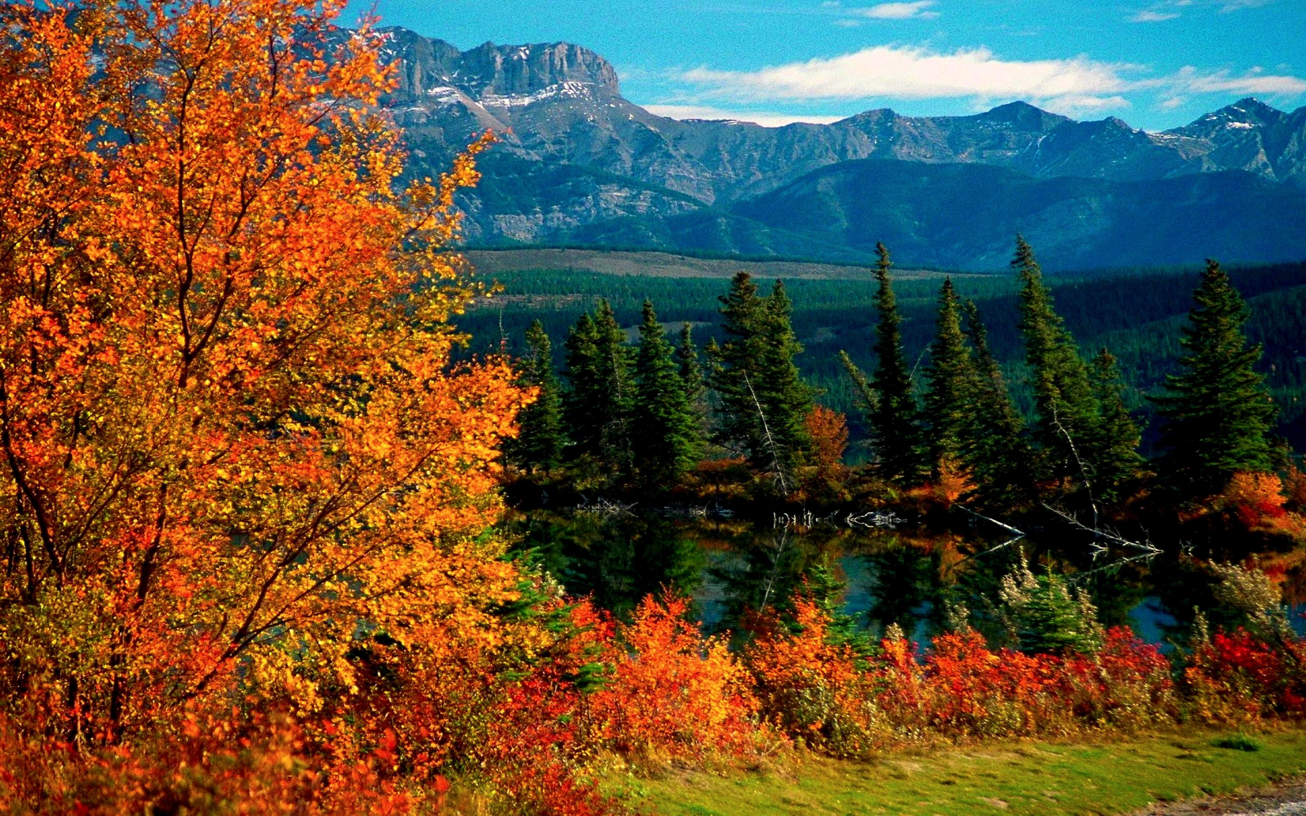 Скачать картинку Пейзаж, Осень, Гора, Озеро, Дерево, Земля/природа, Национальный Парк Джаспер в телефон бесплатно.