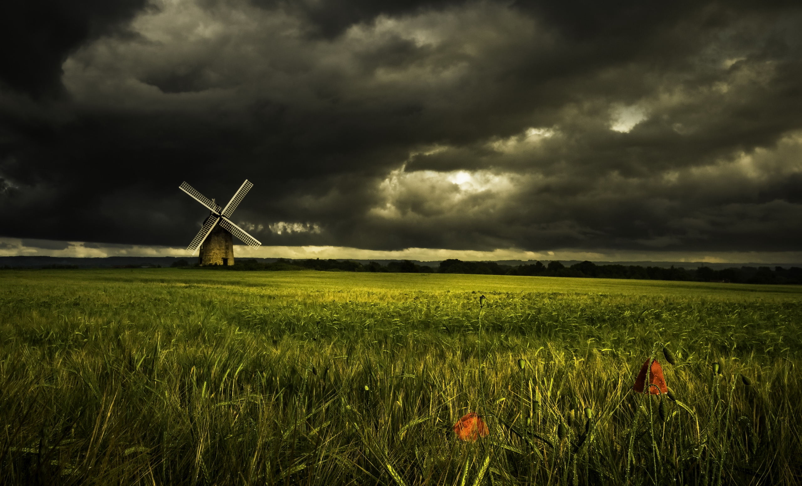 Download mobile wallpaper Landscape, Nature, Summer, Wheat, Field, Cloud, Windmill, Man Made for free.