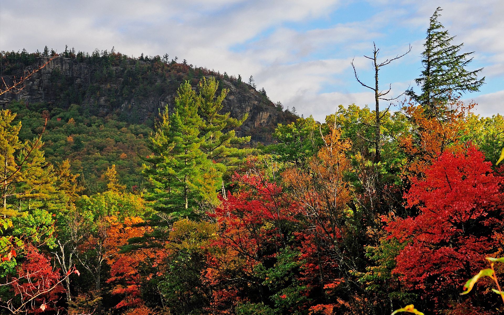 Laden Sie das Bäume, Natur, Sky, Herbst, Landschaft-Bild kostenlos auf Ihren PC-Desktop herunter