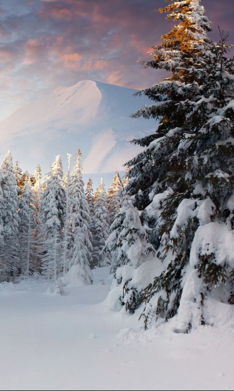 Descarga gratuita de fondo de pantalla para móvil de Invierno, Tierra/naturaleza.