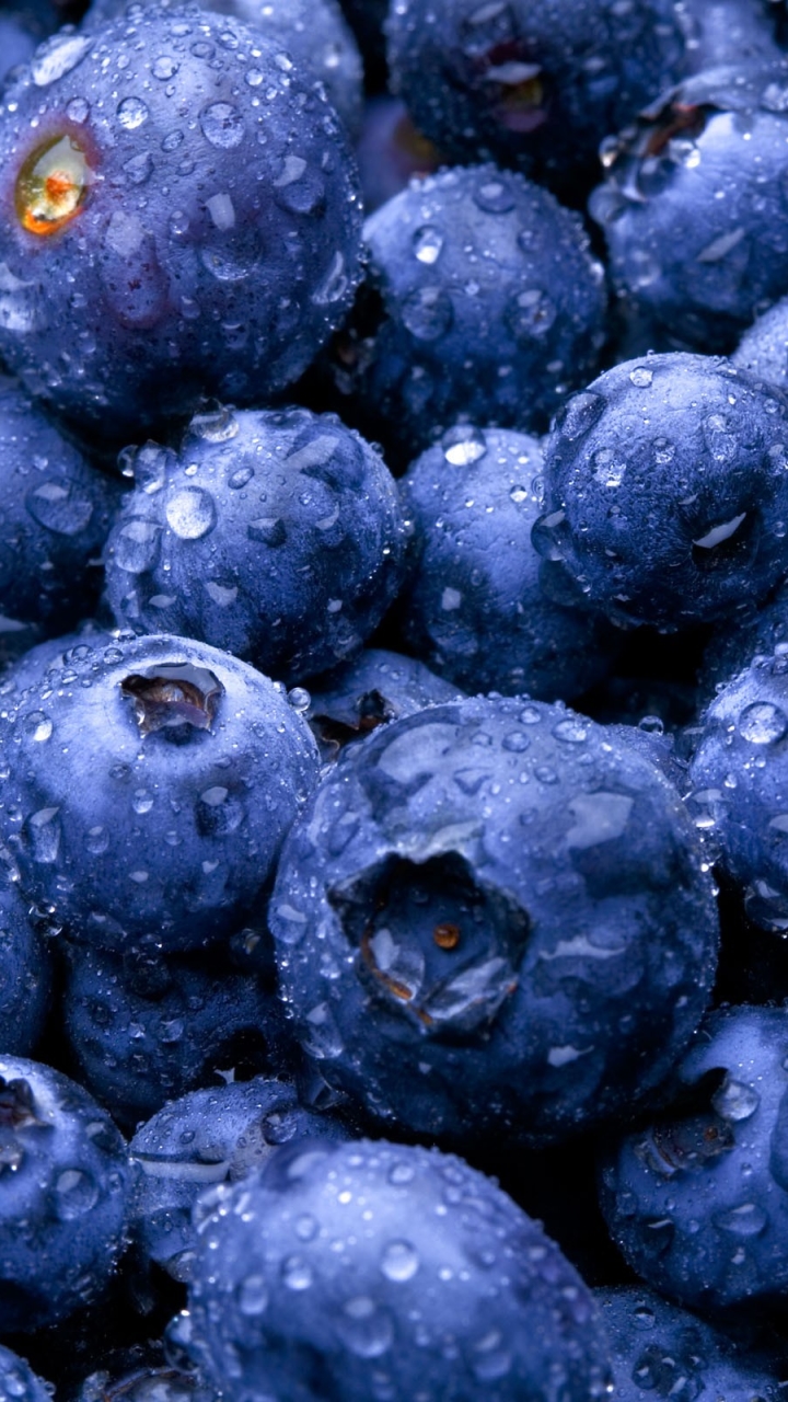 Download mobile wallpaper Food, Blueberry for free.