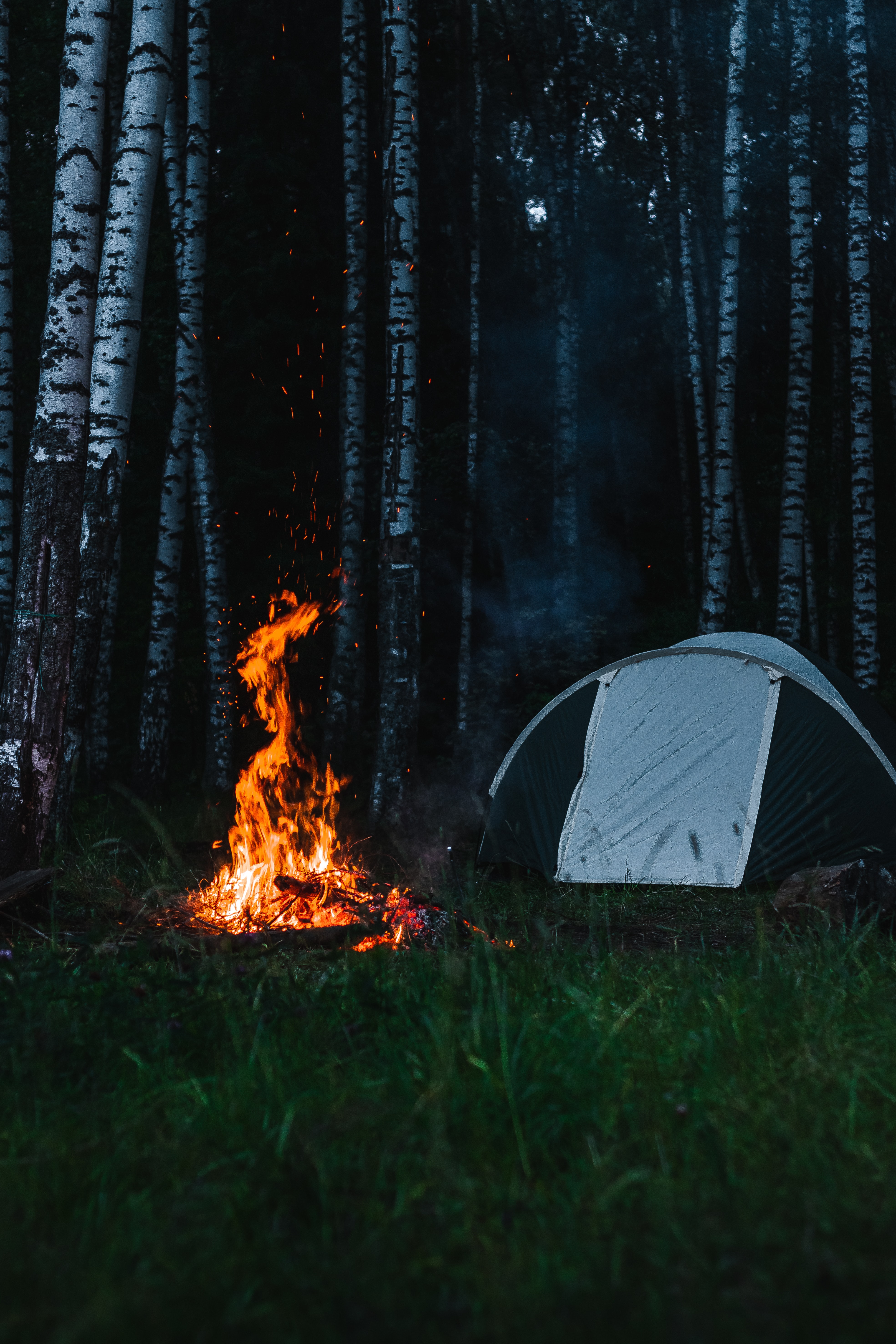 145002 télécharger le fond d'écran camping, bonfire, flamme, divers, tente, tourisme - économiseurs d'écran et images gratuitement