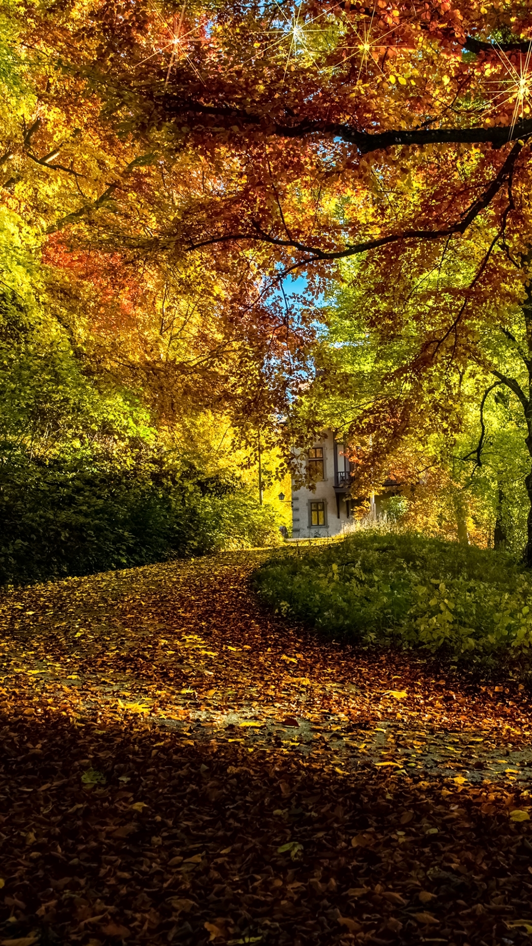 Download mobile wallpaper Forest, Leaf, Fall, Path, Man Made for free.