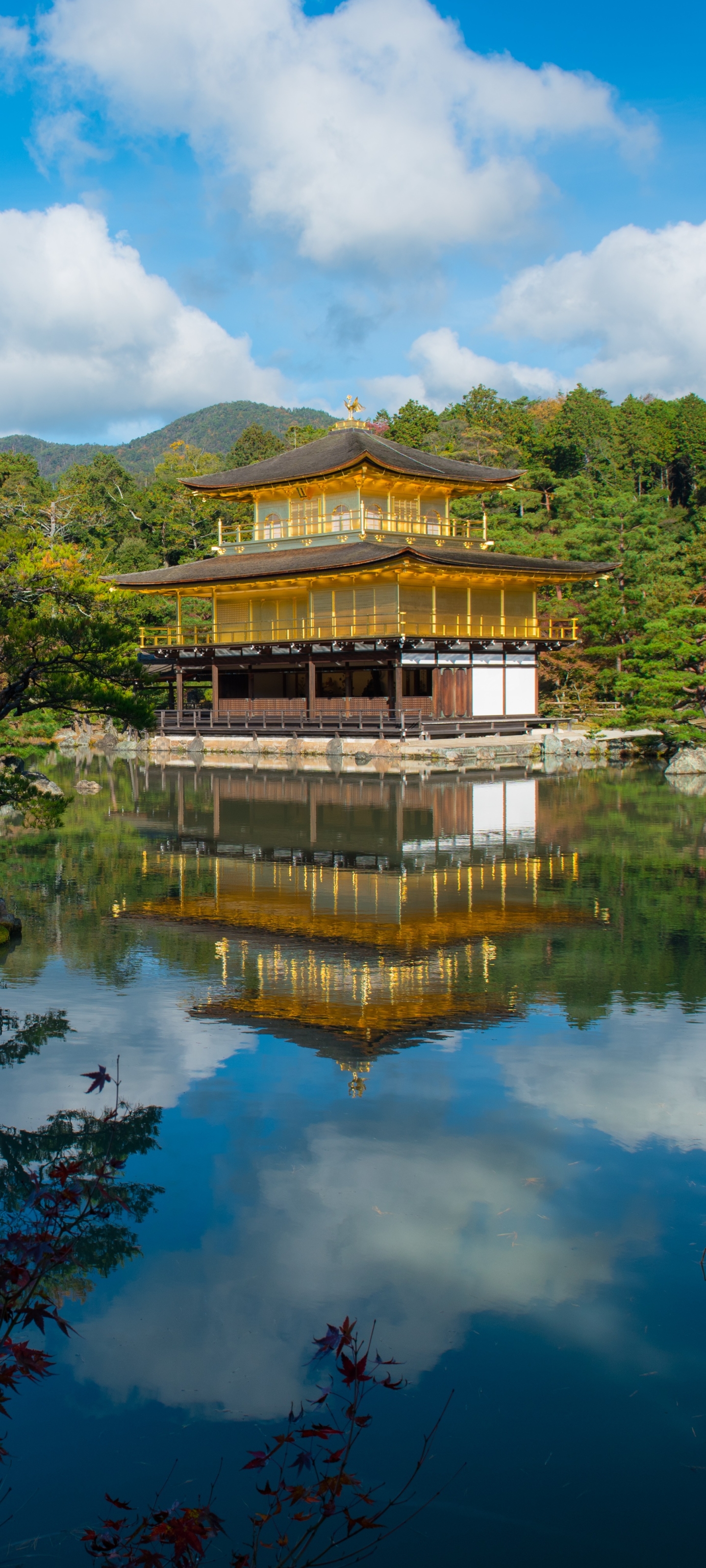 1186427壁紙のダウンロード宗教的, 金閣寺, 京都, 反射, 黄金寺院, 仏教寺院, 日本, 寺院-スクリーンセーバーと写真を無料で