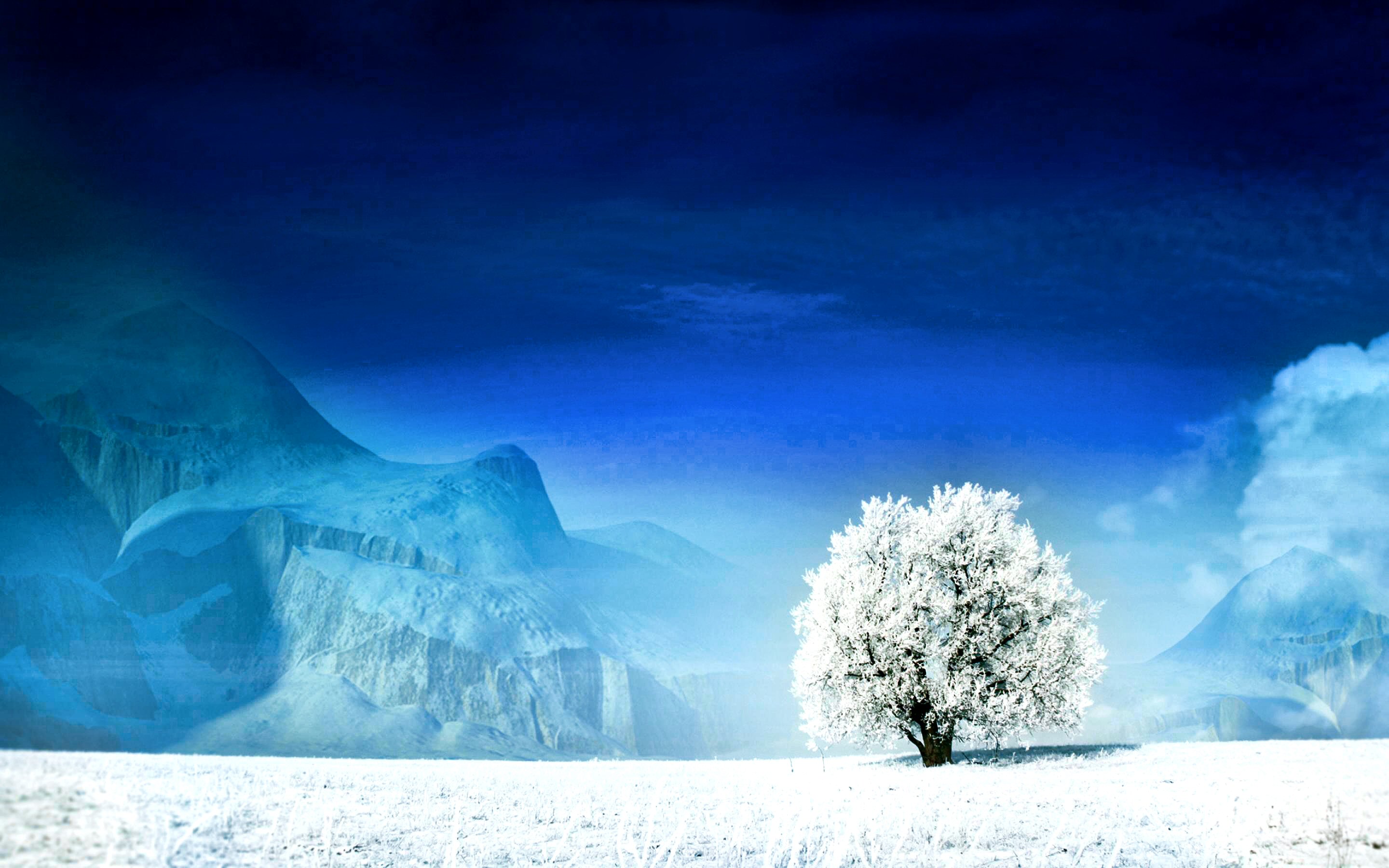 Скачать картинку Зима, Снег, Дерево, Синий, Белый, Земля/природа в телефон бесплатно.