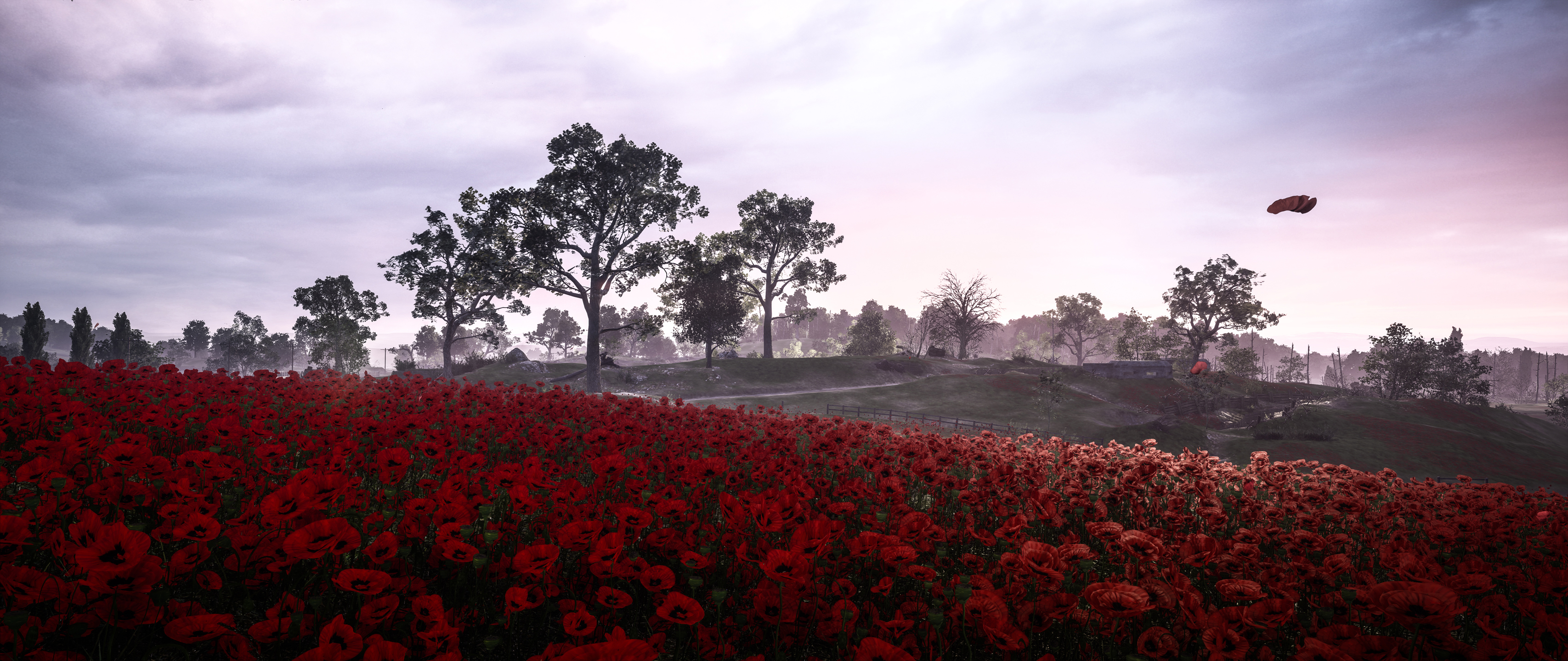 Handy-Wallpaper Landschaft, Mohn, Schlachtfeld, Blume, Rote Blume, Computerspiele, Battlefield 1 kostenlos herunterladen.
