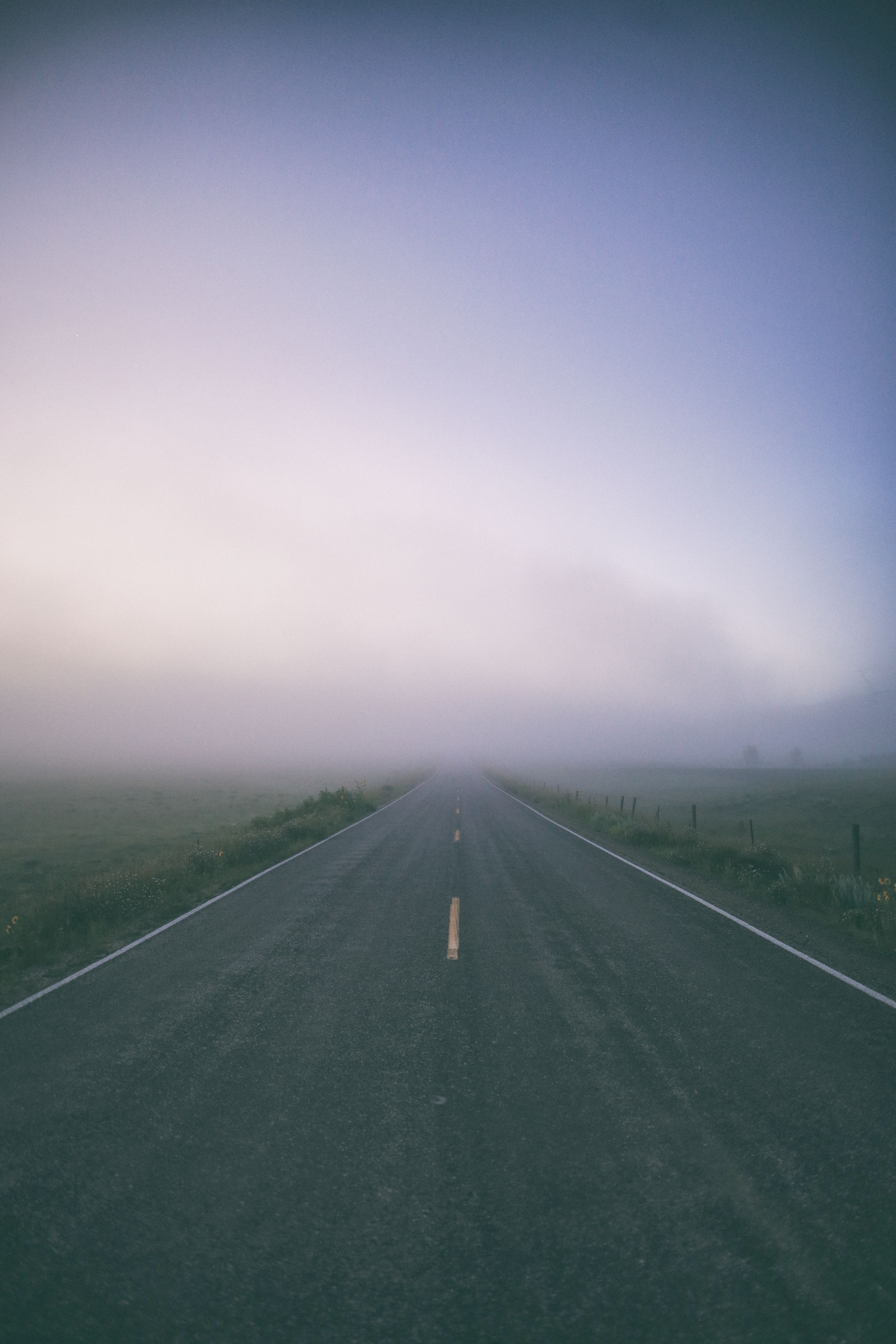 nature, road, markup, fog, field Free Stock Photo