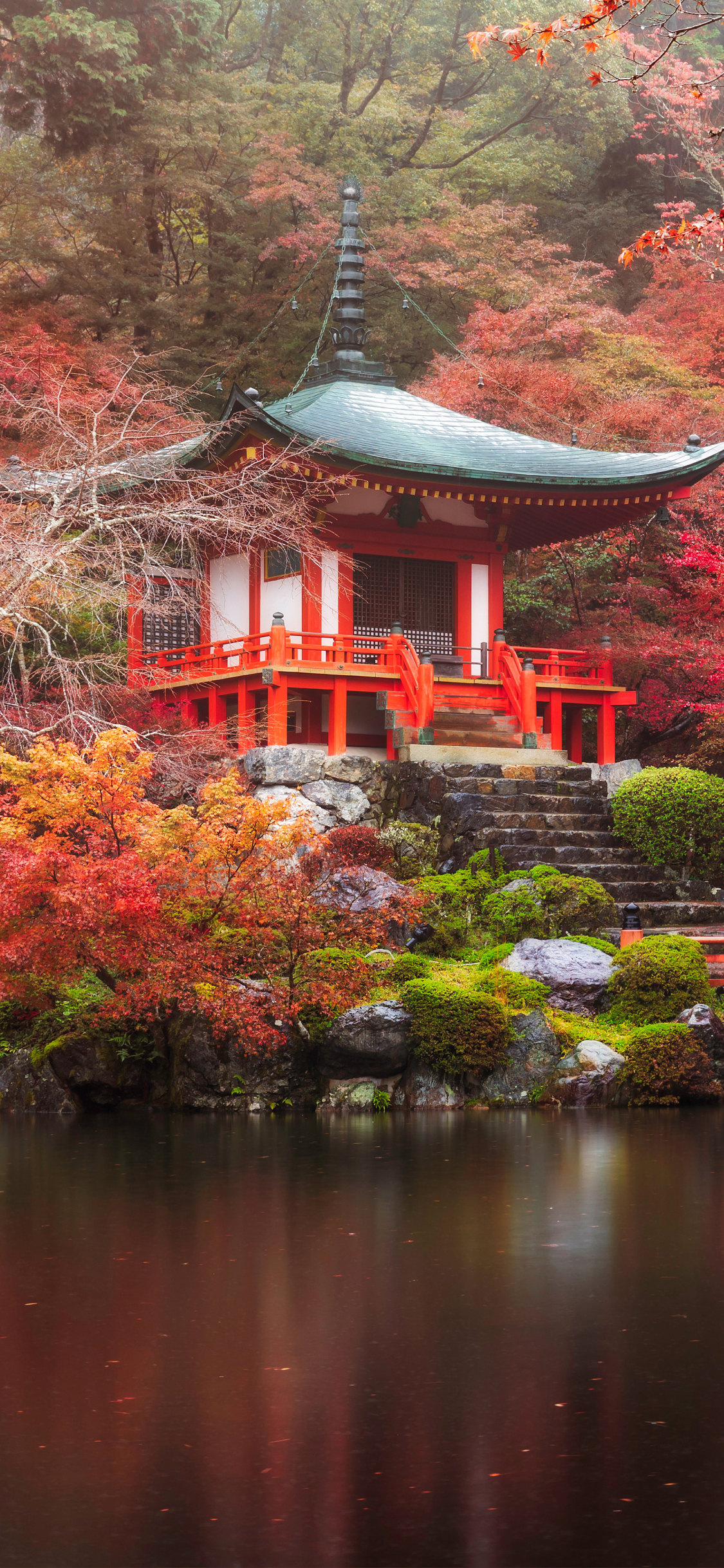 Descarga gratuita de fondo de pantalla para móvil de Otoño, Parque, Pagoda, Japón, Estanque, Templos, Kioto, Religioso, Daigo Ji.