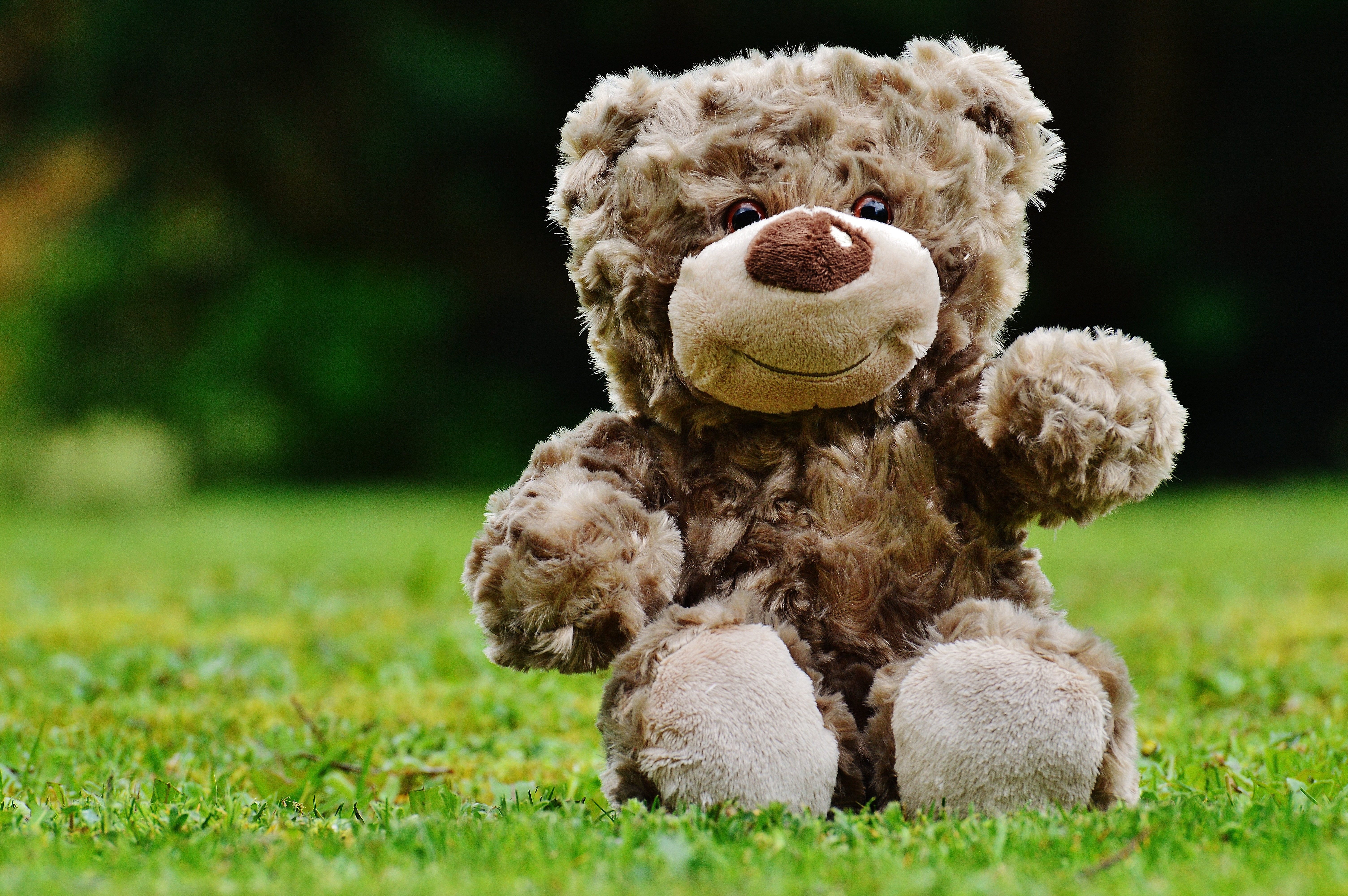 Download mobile wallpaper Grass, Teddy Bear, Man Made, Stuffed Animal for free.