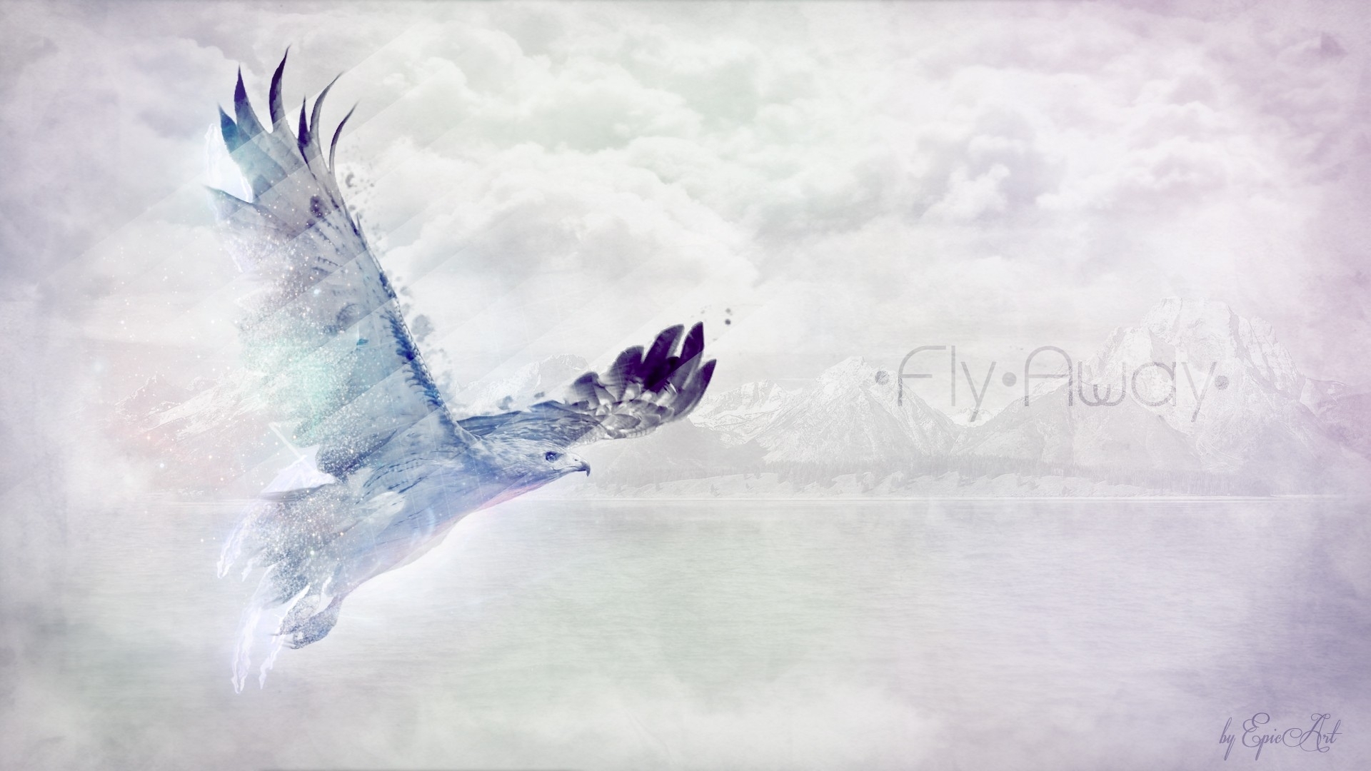 Free download wallpaper Birds, Animal, Eagle on your PC desktop