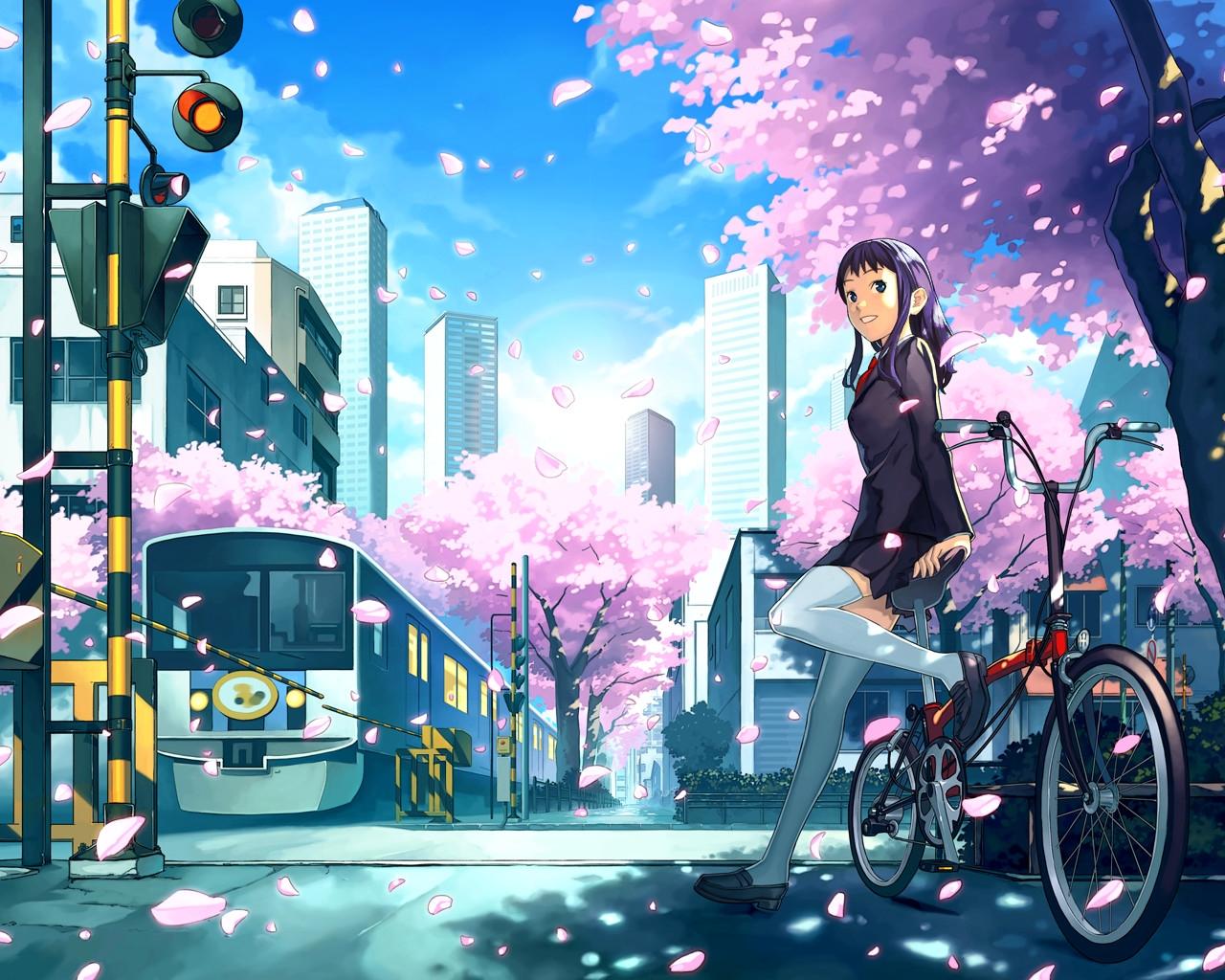 Скачать обои бесплатно Аниме, Сакура, Город, Велосипед картинка на рабочий стол ПК