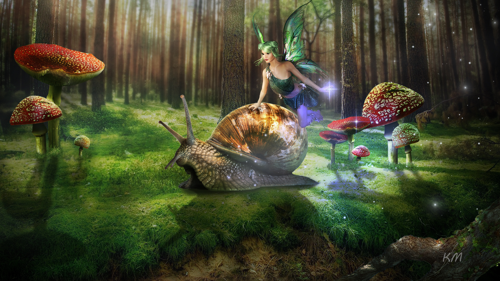 Download mobile wallpaper Fantasy, Mushroom, Snail, Fairy for free.