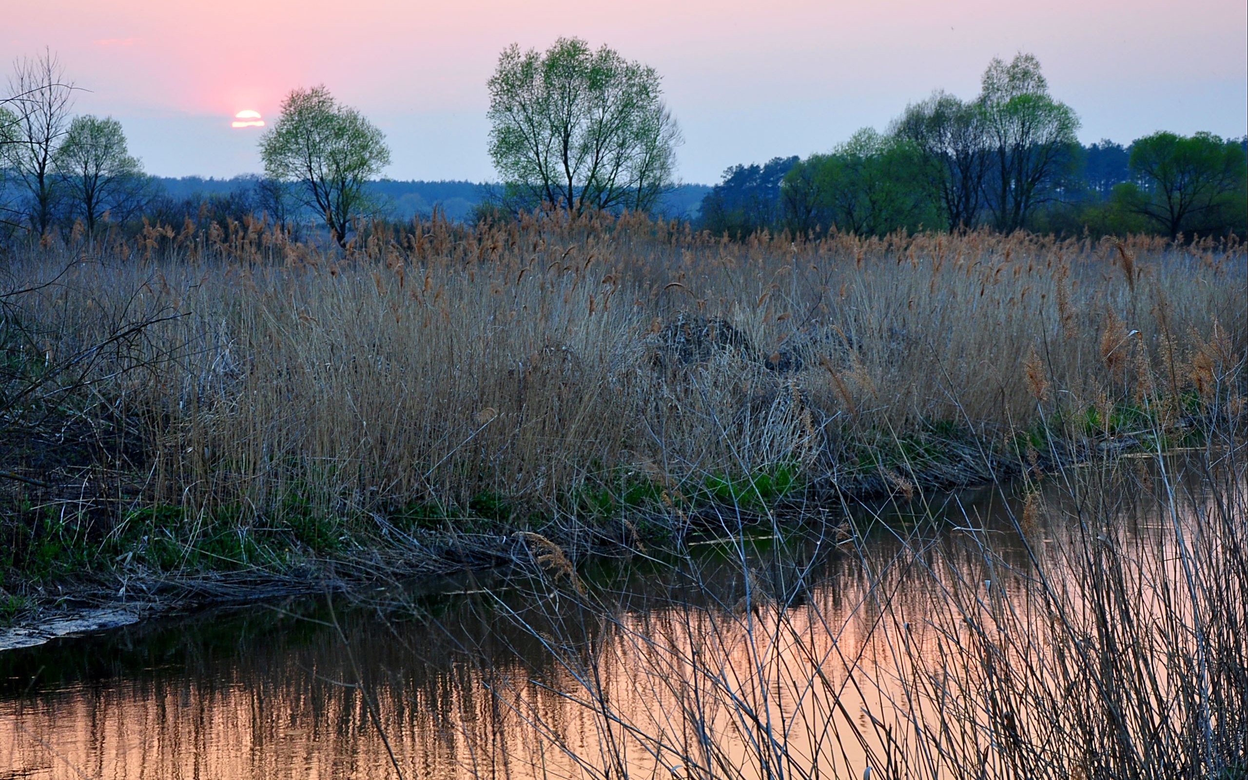 Download mobile wallpaper Rivers, Sunset, Grass, Landscape for free.