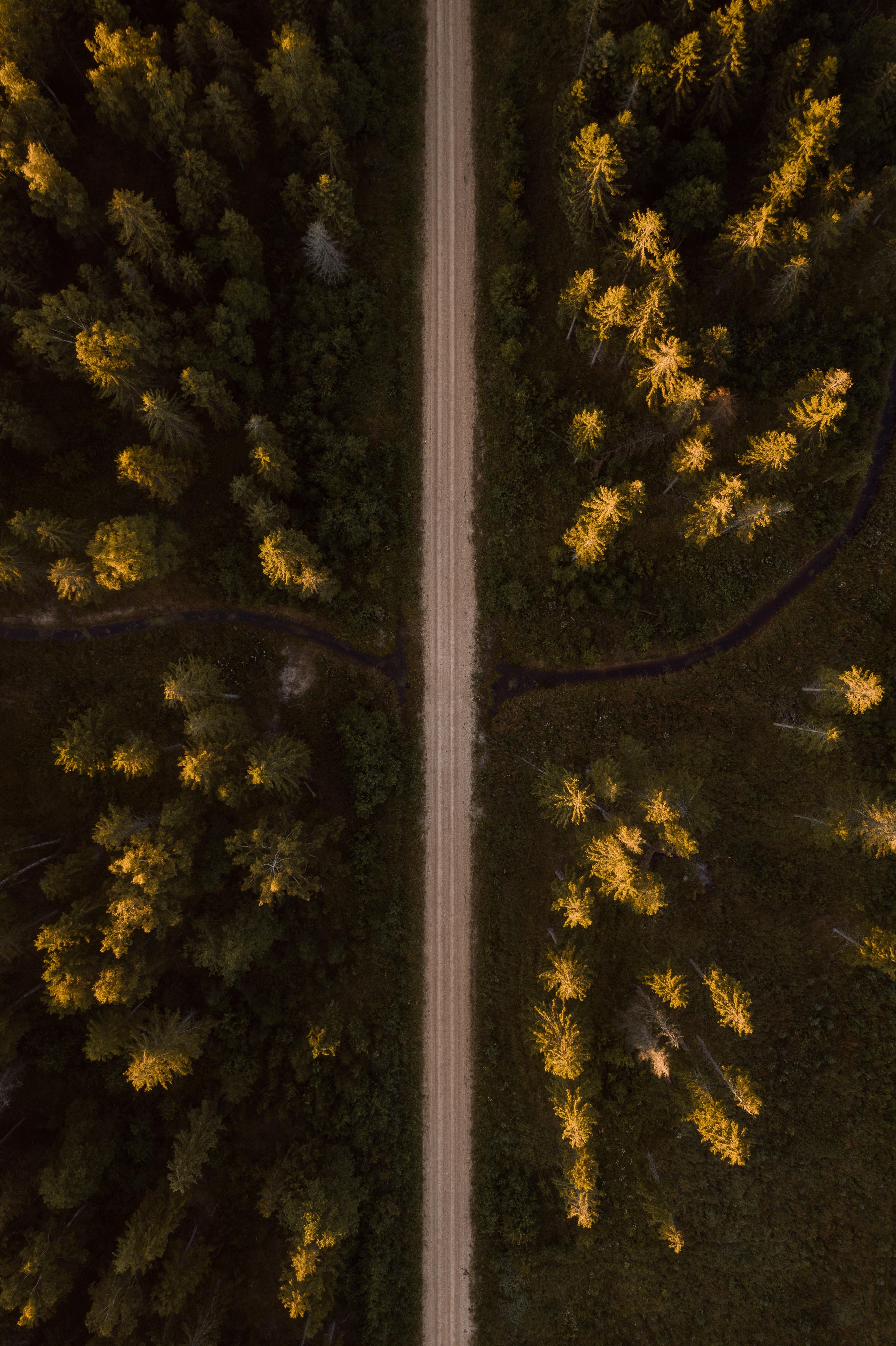 Download mobile wallpaper Spruce, Fir, View From Above, Forest, Road, Nature, Trees for free.