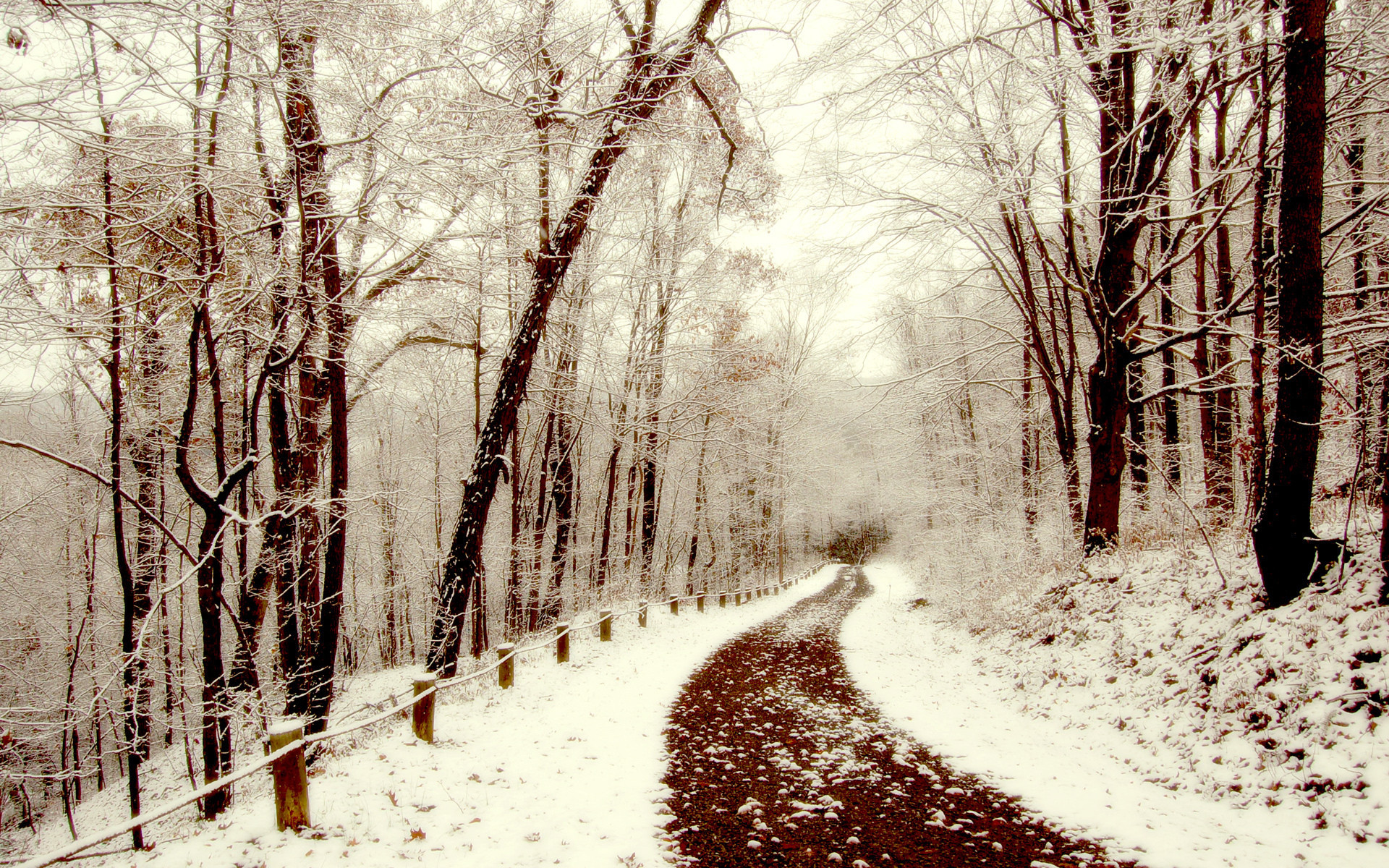 Скачать обои бесплатно Снег, Деревья, Пейзаж, Зима картинка на рабочий стол ПК