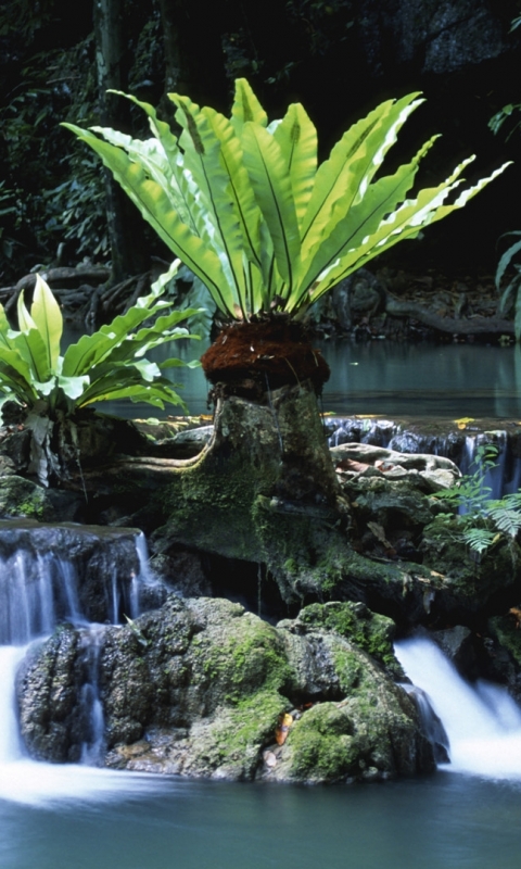 Handy-Wallpaper Wasserfall, Wasserfälle, Erde/natur kostenlos herunterladen.