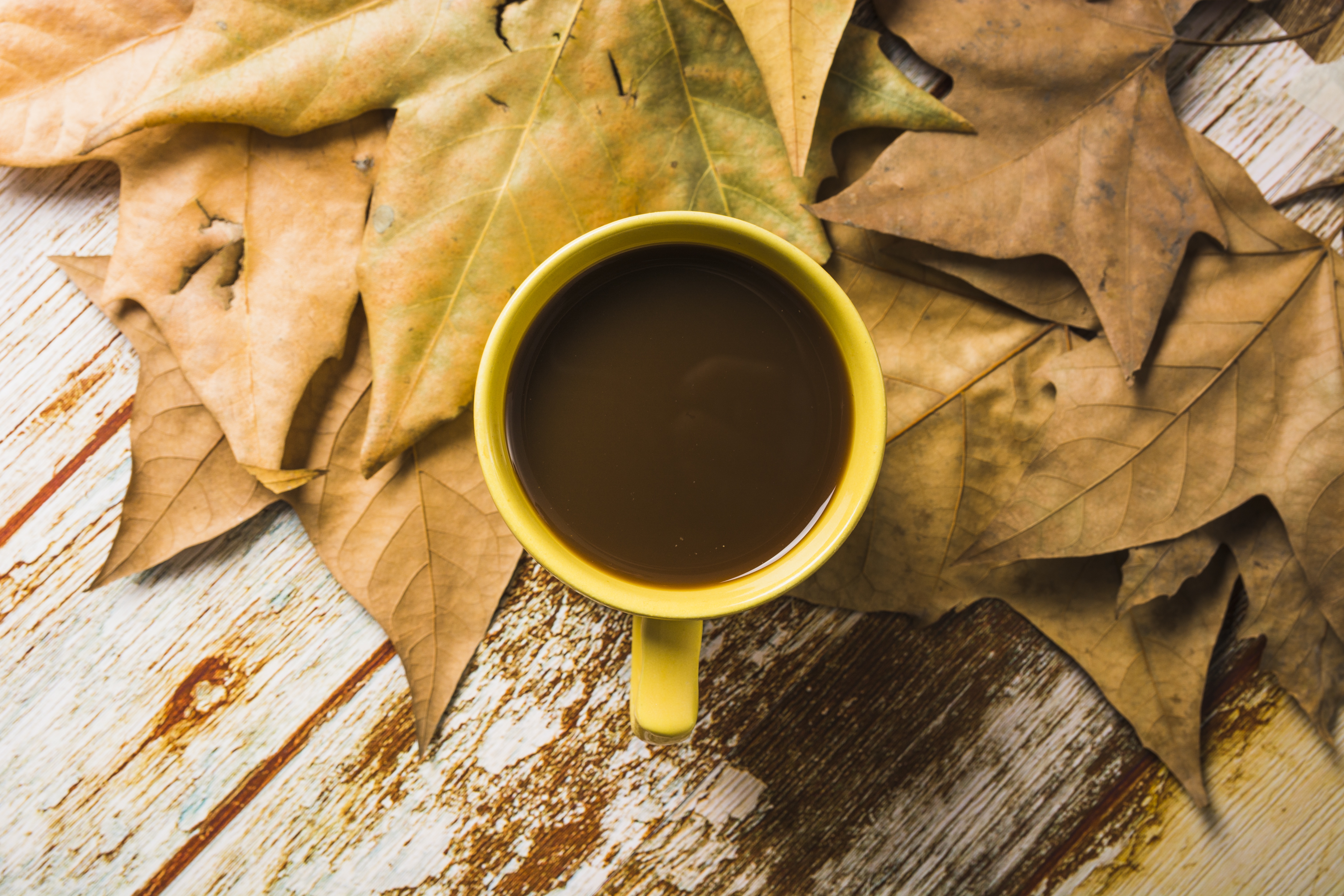 Download mobile wallpaper Food, Coffee, Still Life, Cup, Leaf for free.