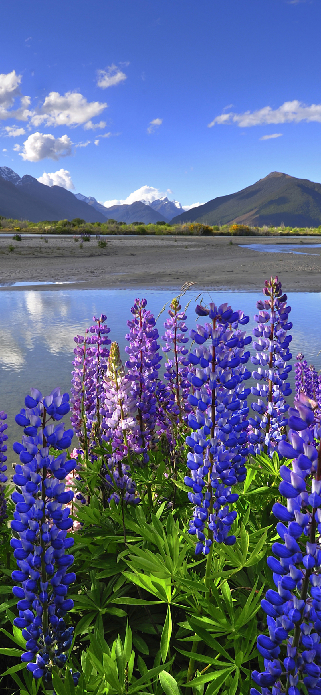 Скачать картинку Пейзаж, Природа, Гора, Озеро, Отражение, Новая Зеландия, Люпин, Земля/природа в телефон бесплатно.