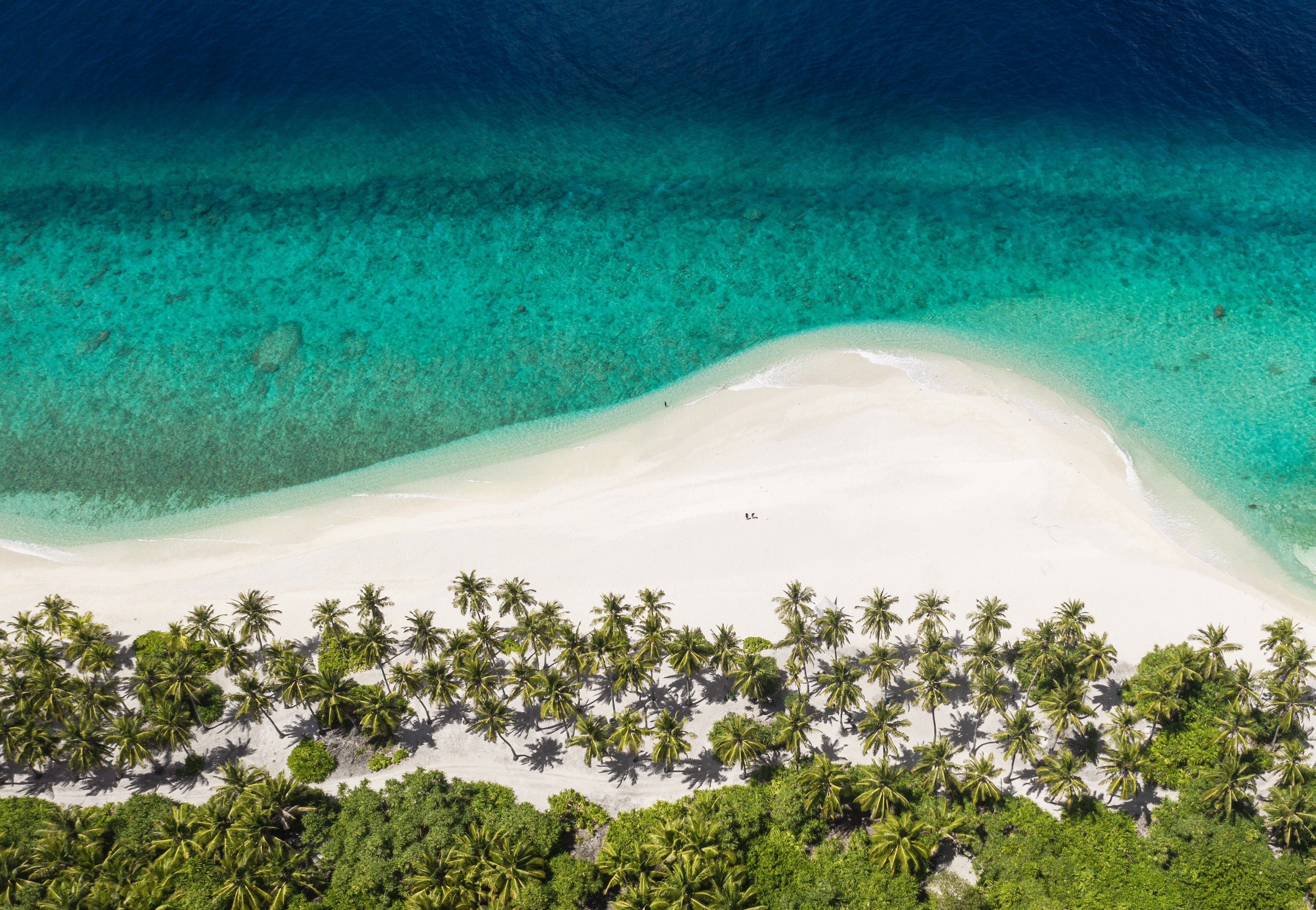 Laden Sie das Blick Von Oben, Ozean, Die Insel, Insel, Natur, Palms, Strand-Bild kostenlos auf Ihren PC-Desktop herunter